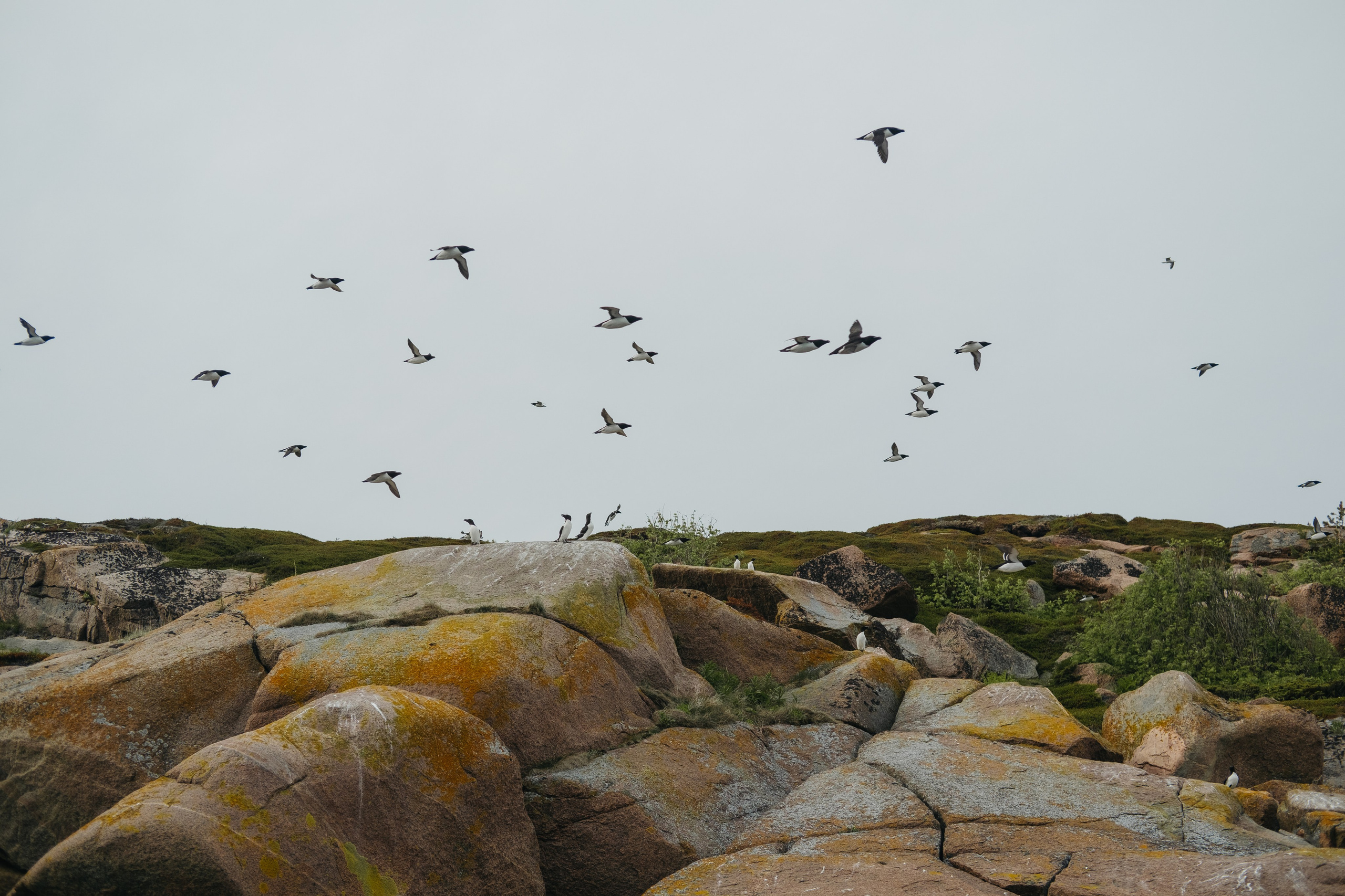 Карелия и Соловецкие острова. Обо мне