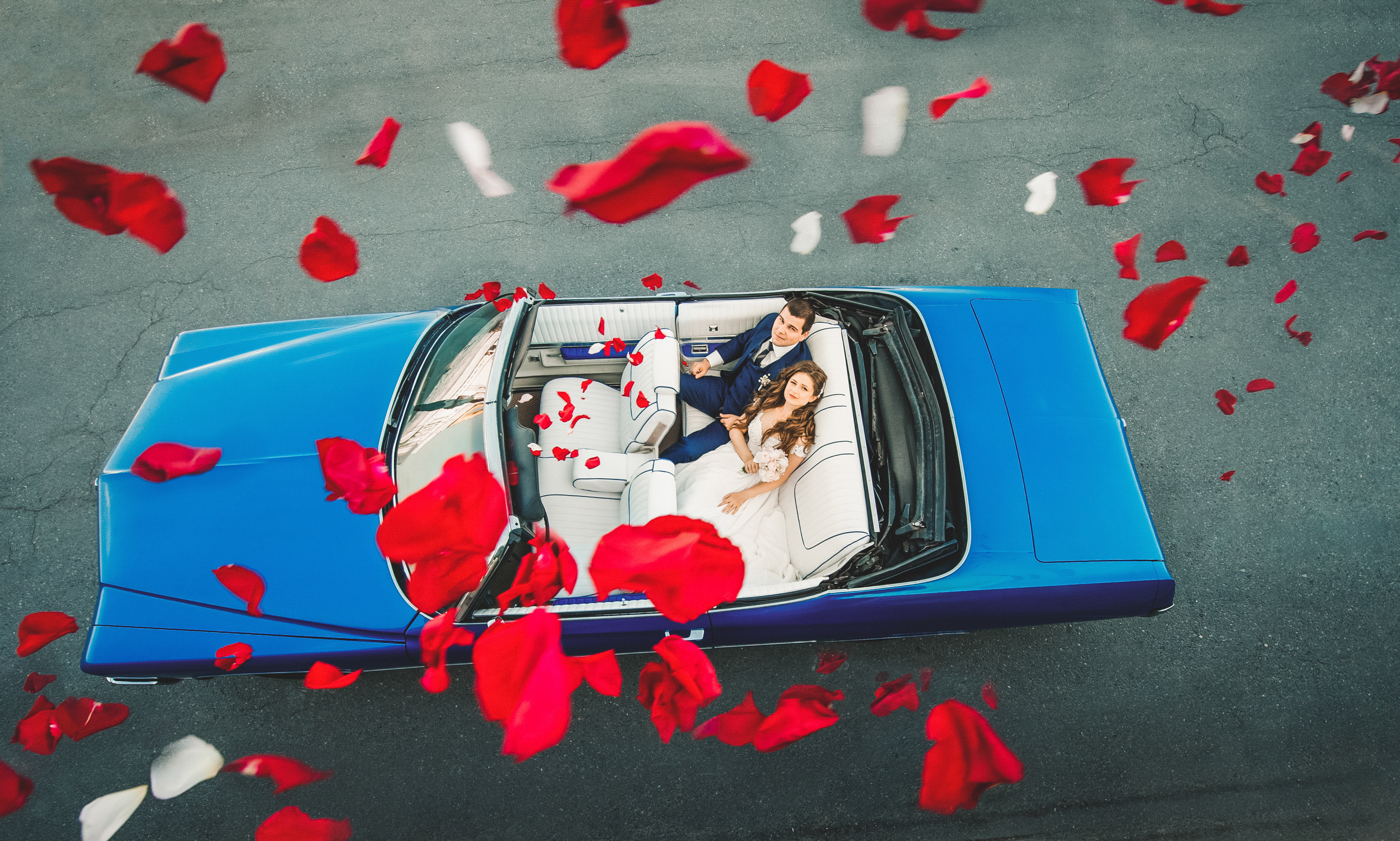 Любимое из Питера. Живые снимки! Фотограф Даша Бендер