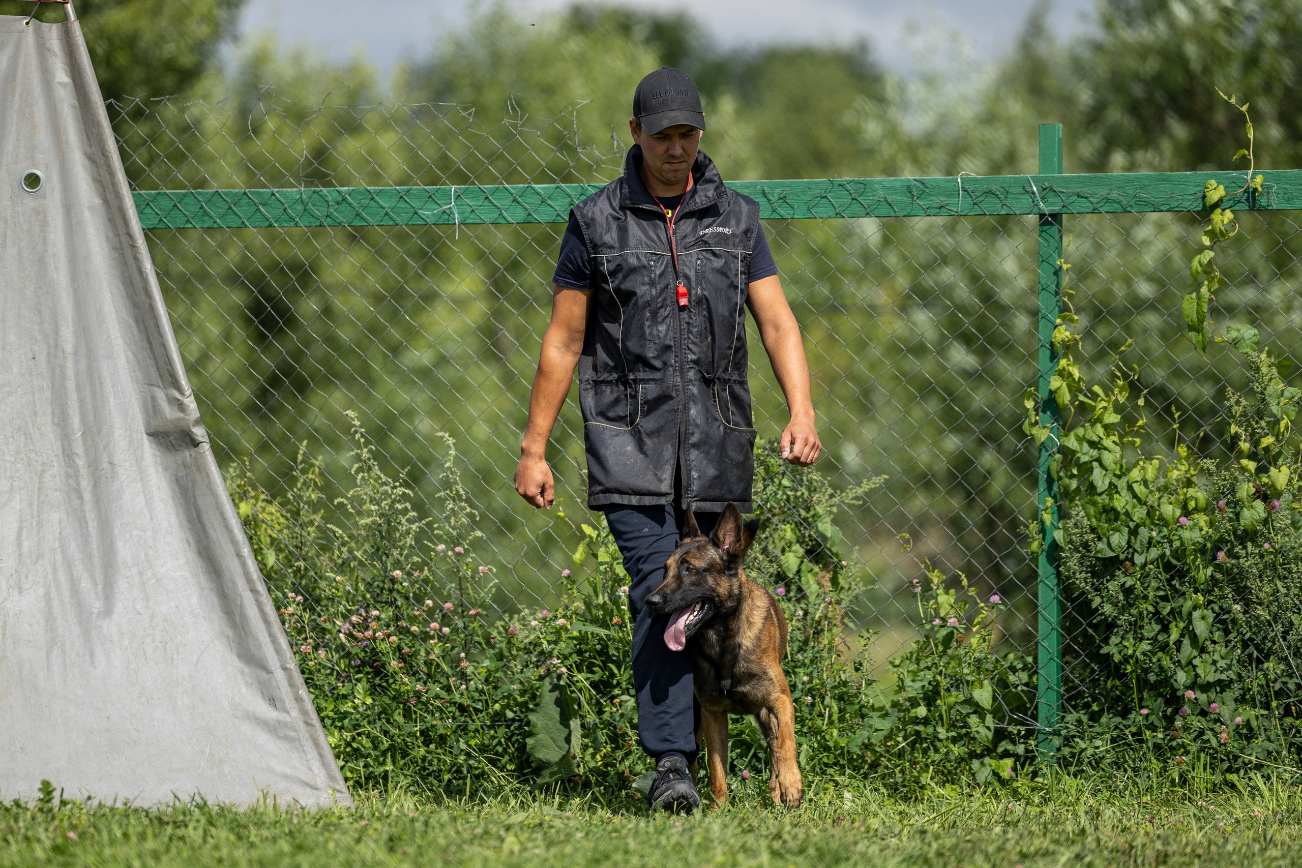 Соревнования по Мондьорингу г. Вологда 10-11.08.2024. Фотограф-анималист Анна Маринич