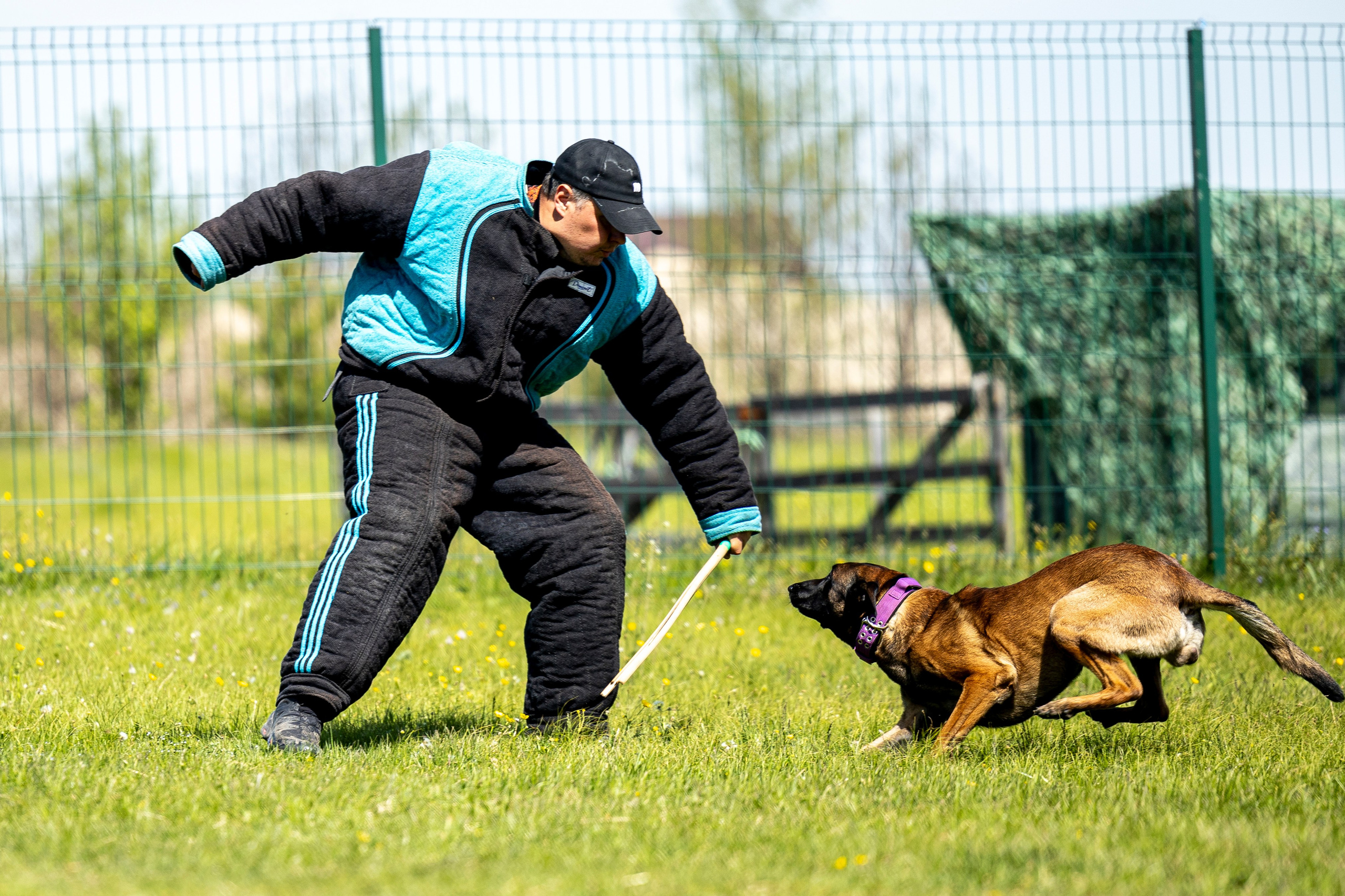 Испытания по мондьорингу в Нижнем Новгороде. Фотограф-анималист Анна Маринич