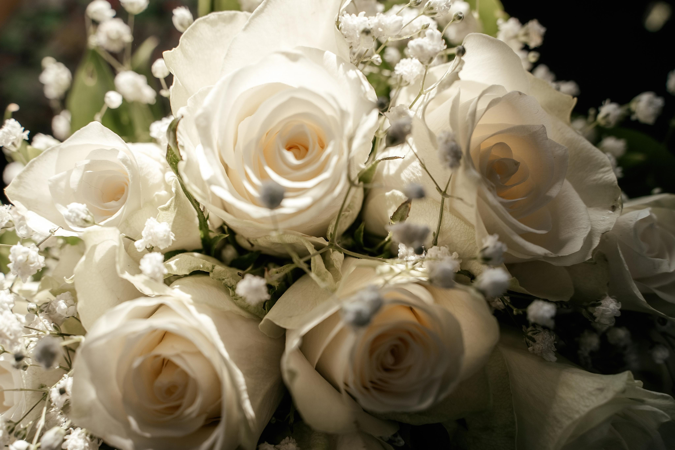 Индивидуальный и семейный фотограф в Москве и городе Видное. Свадебный фотограф в Москве. Свадебный фотограф в Московской области. Свадебная фотосессия 2023. Заказать свадебную фотосессию. Фотограф недорого. Красивые свадебные фотографии. Душевный фотограф. Фотограф Видное. Фотограф Домодедово. Фотограф Бутово. Фотограф Москва. Фотограф Царицыно. Свадебная фотосессия в Царицыно. Семейная фотосессия. Контент-фотосессия в Москве. Контент-фотограф. Визуал для эксперта. 