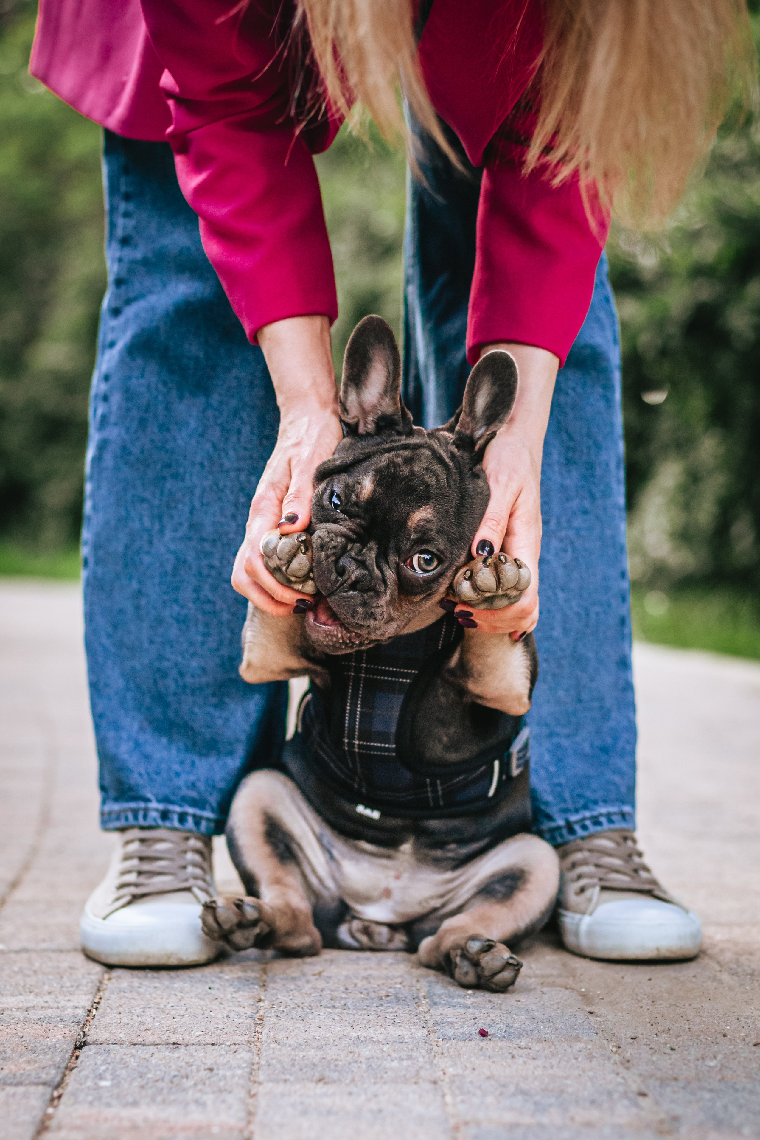 Даша и Мишель. Фотограф-анималист Татьяна Степанова