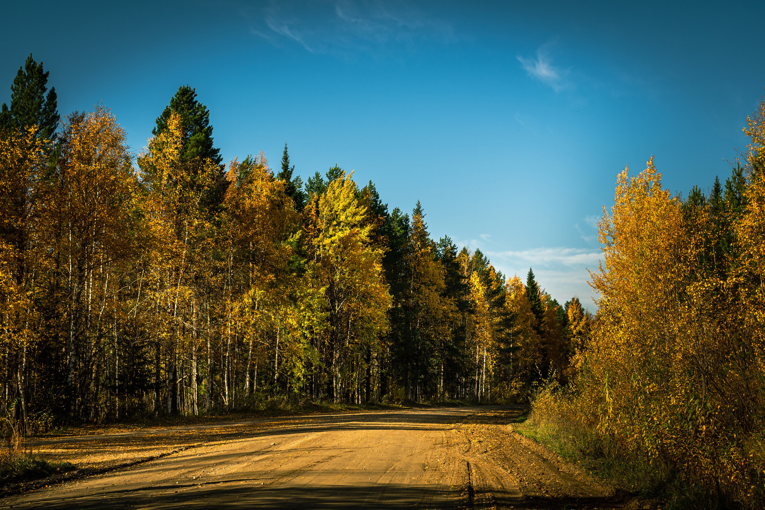 Осень. Фотограф в с. Ижма Республика Коми Терентьев Сергей