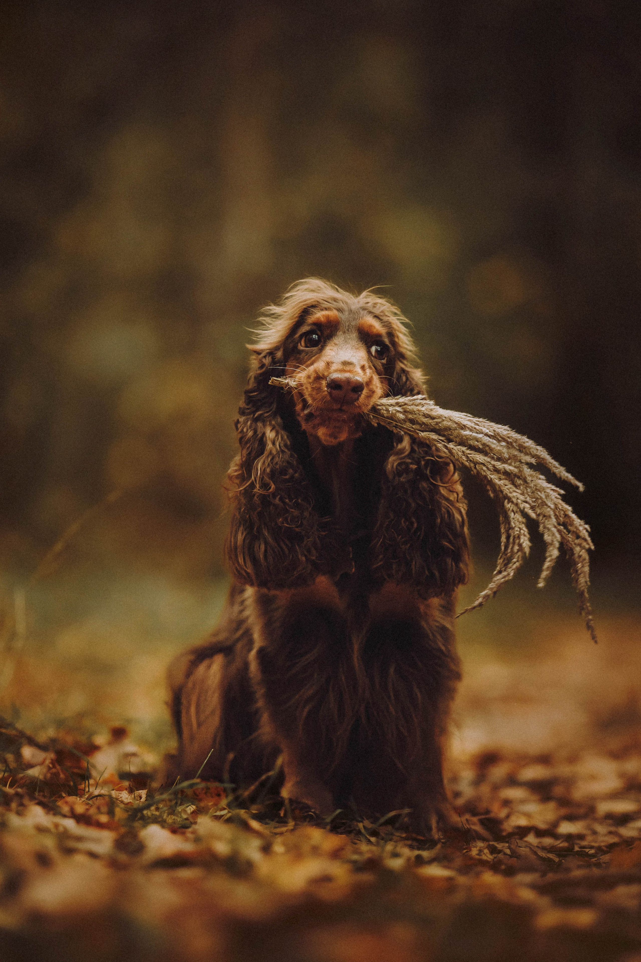 Настя, Саша и Эстер