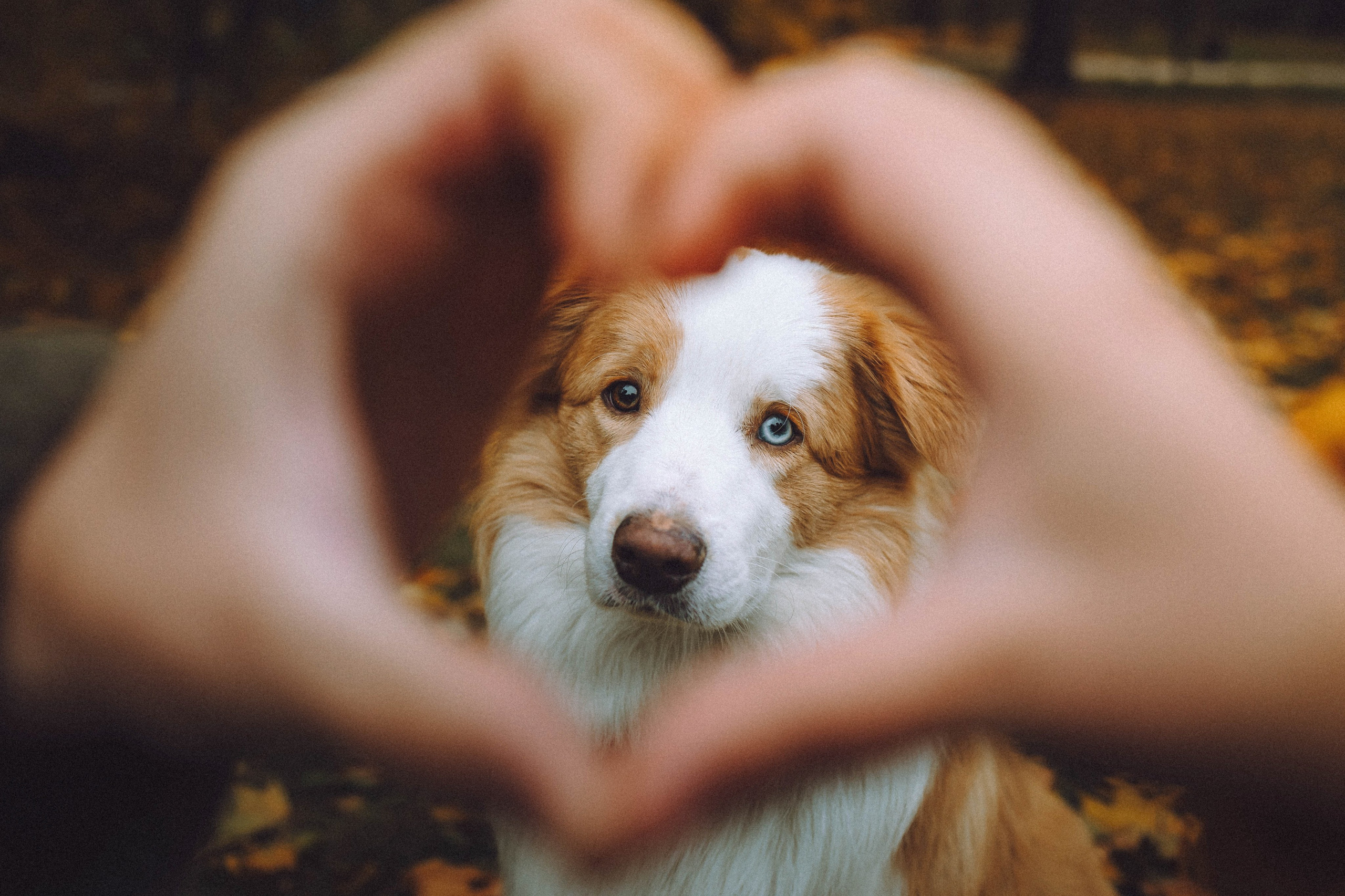 Алина, Витя и Асти