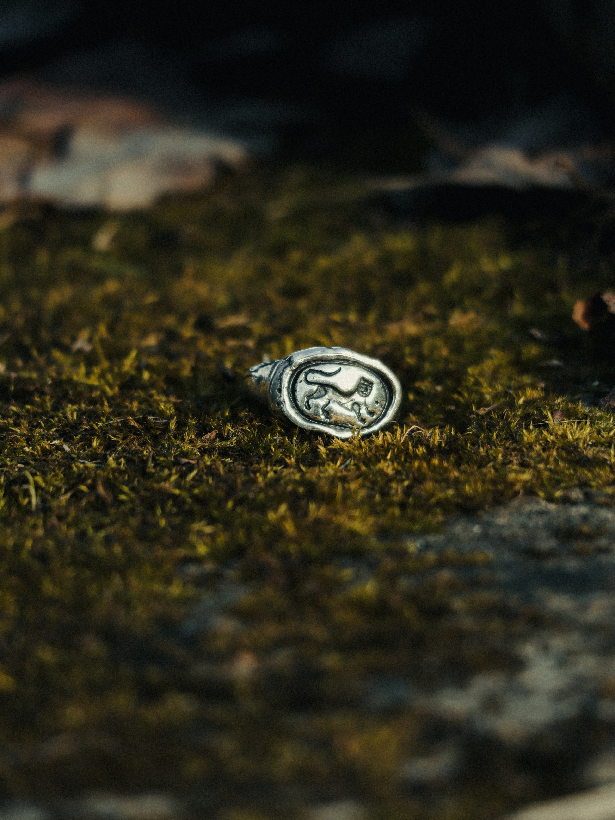 ВИЗИТКА. Cinematic presets video/photo, visual, content creator Lina Pleshakova