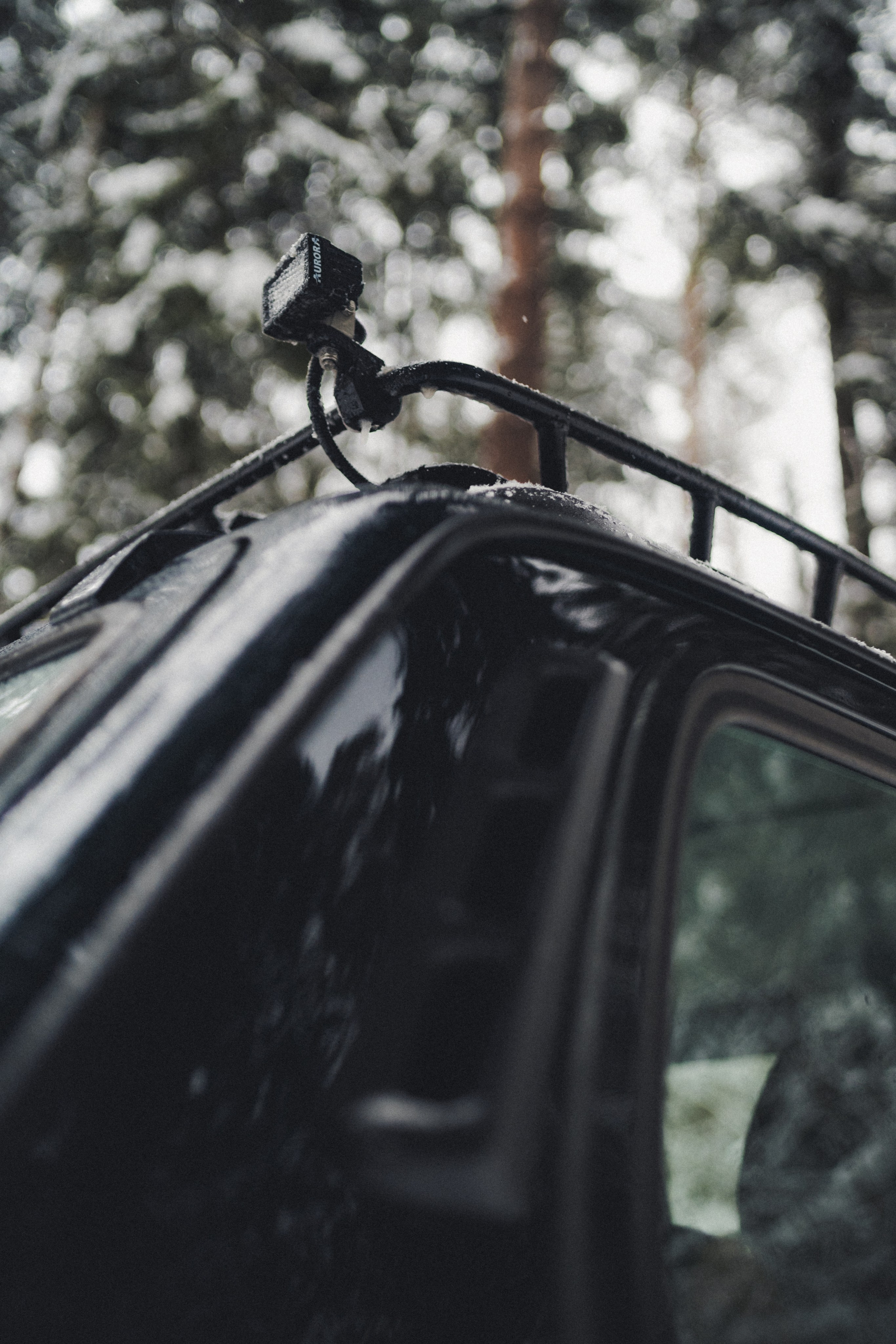 Niva Bronto (Nessie) x FAUNO. Фотограф Илья К. в Москве