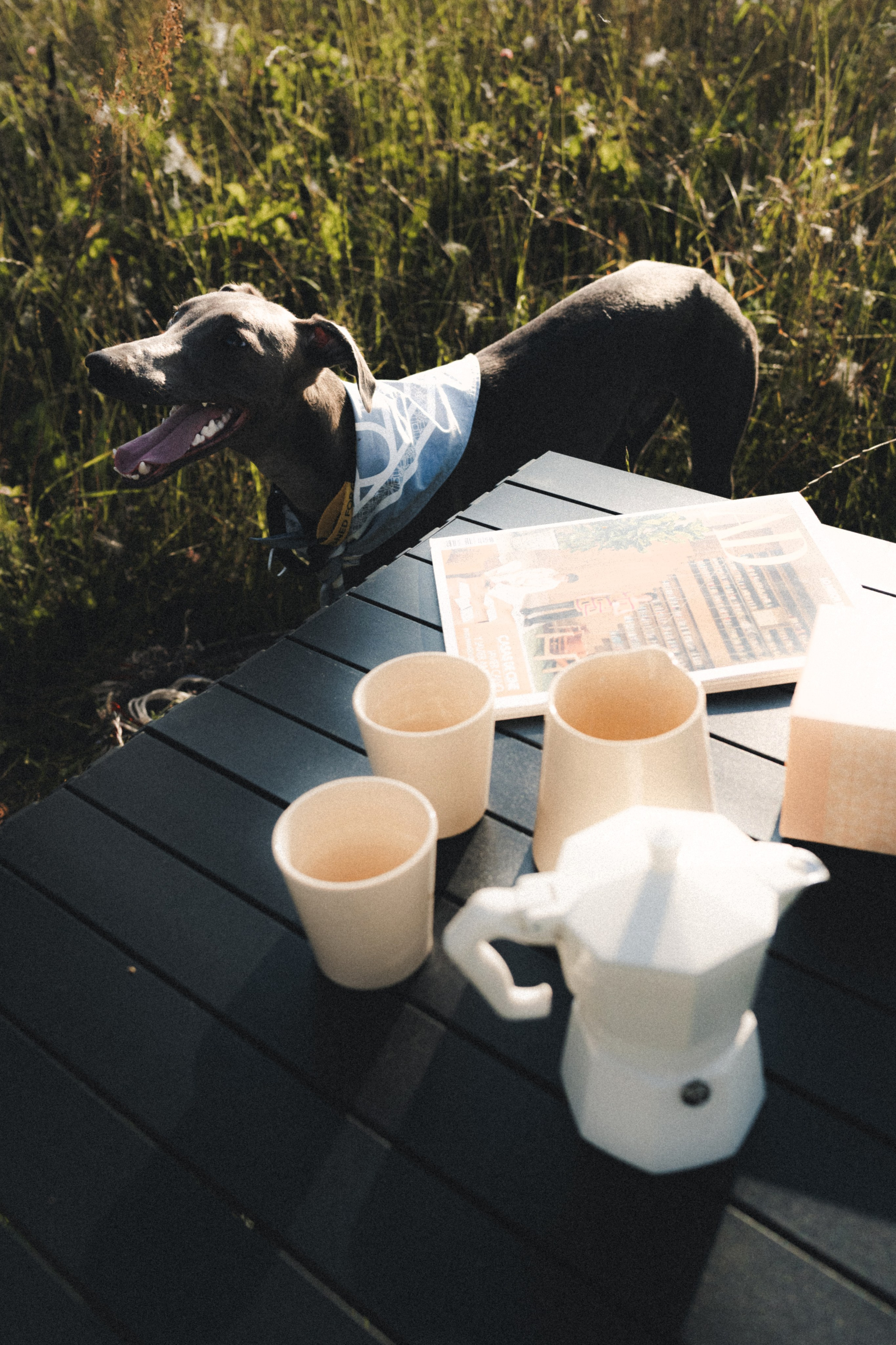 Fauno. Фотограф Илья К. в Москве