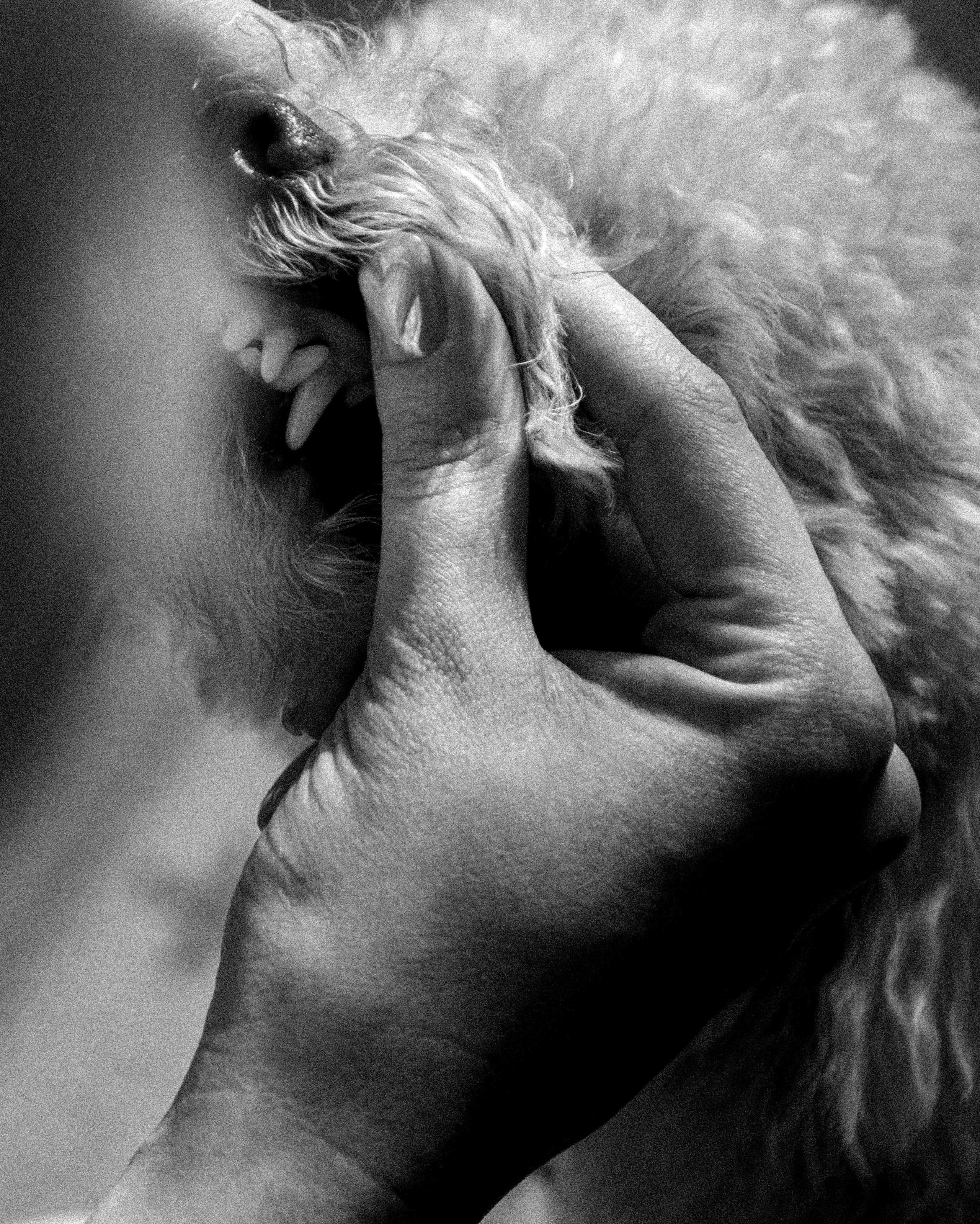 Луковка и Человеки. Константин Суриков свадебный фотограф Санкт-Петербург