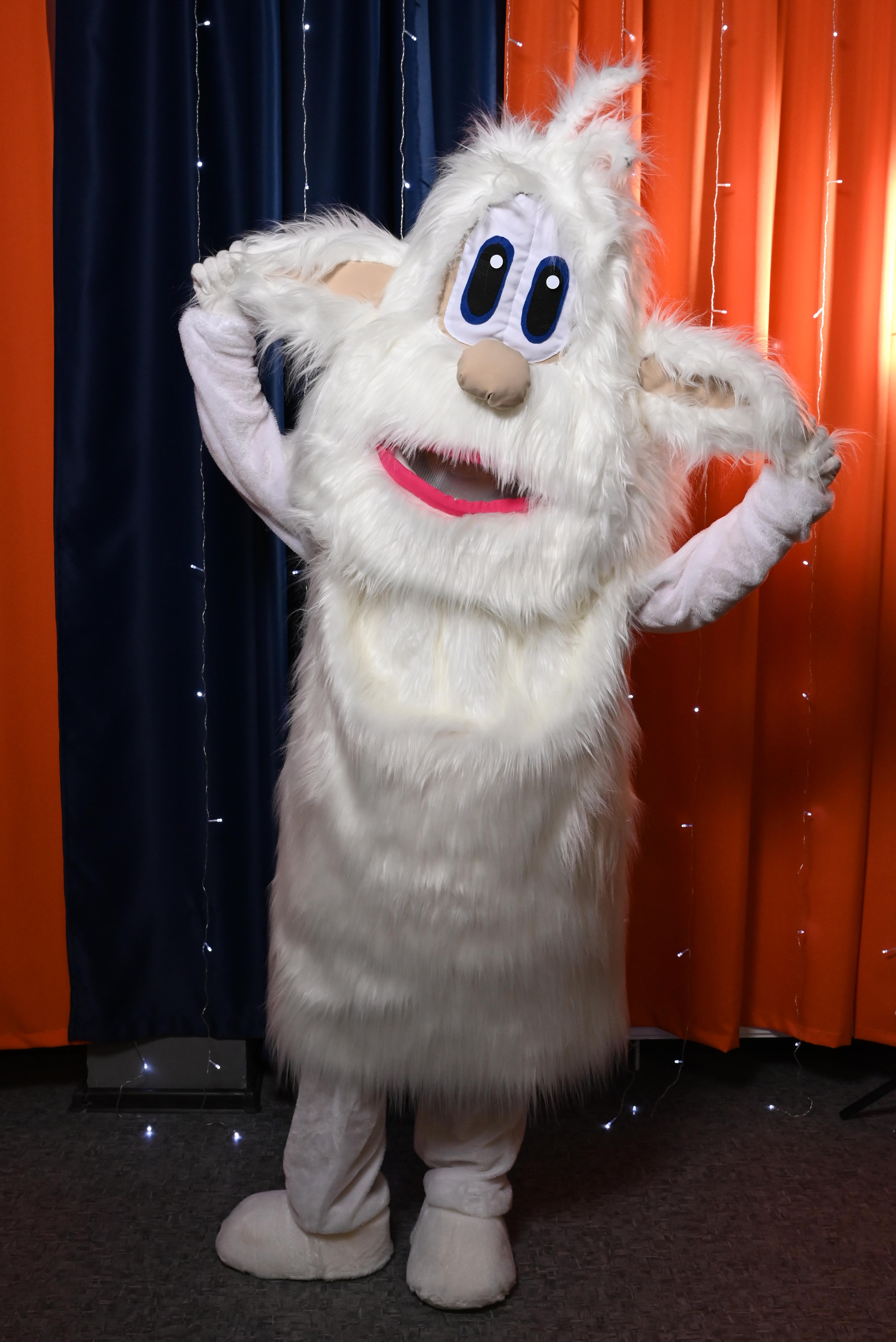 Домовенок. Девятое королевство