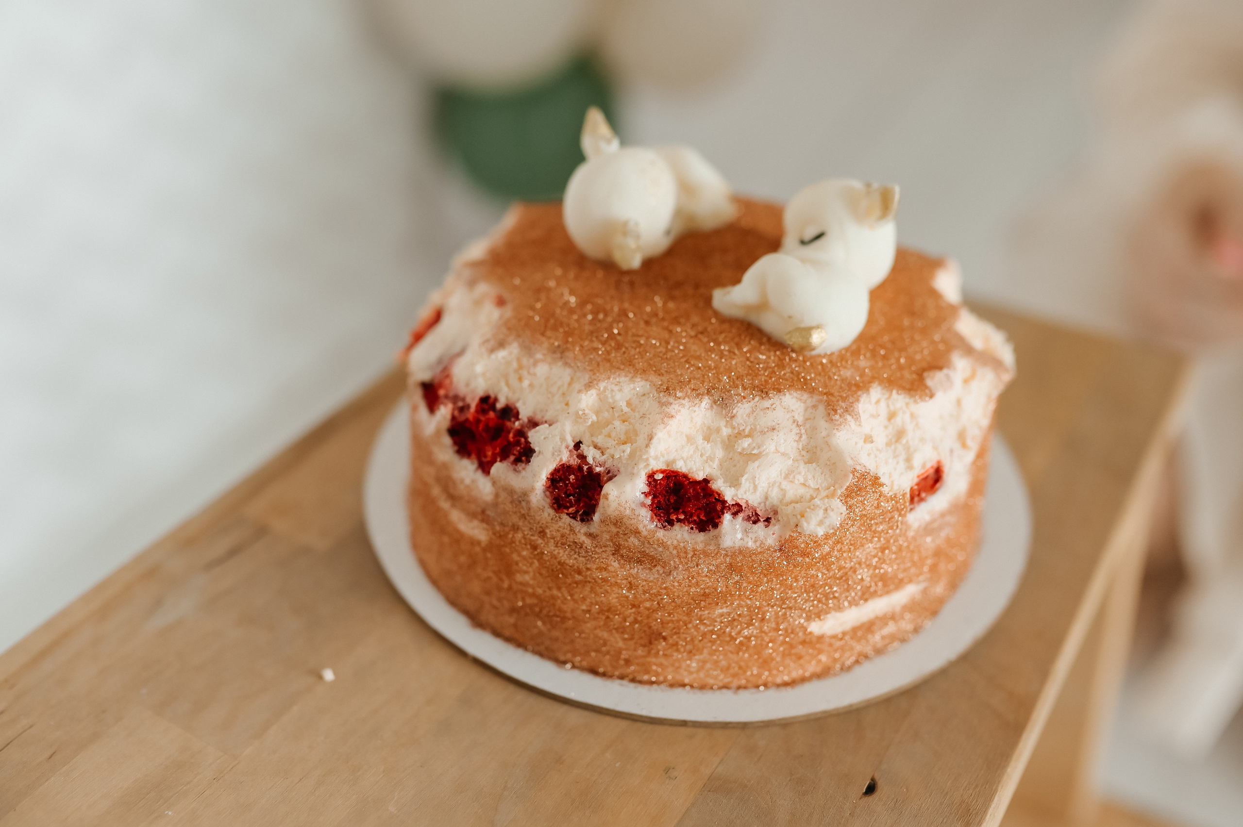 День Рождения Полины и Юли. Семейный фотограф Олеся Батурина Рязань