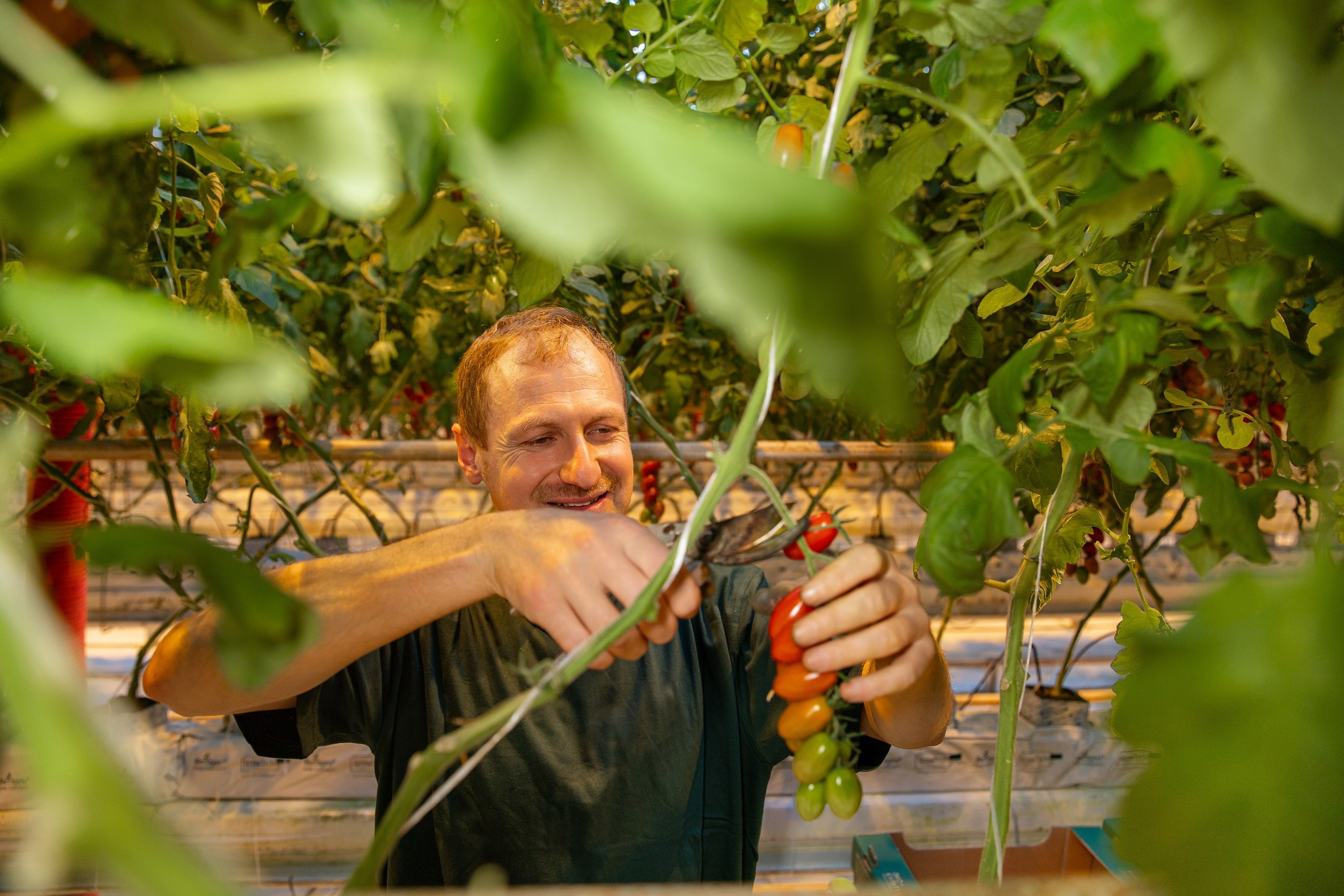 Производство. Фотограф Николай Петрушкин | Ставрополь, Москва