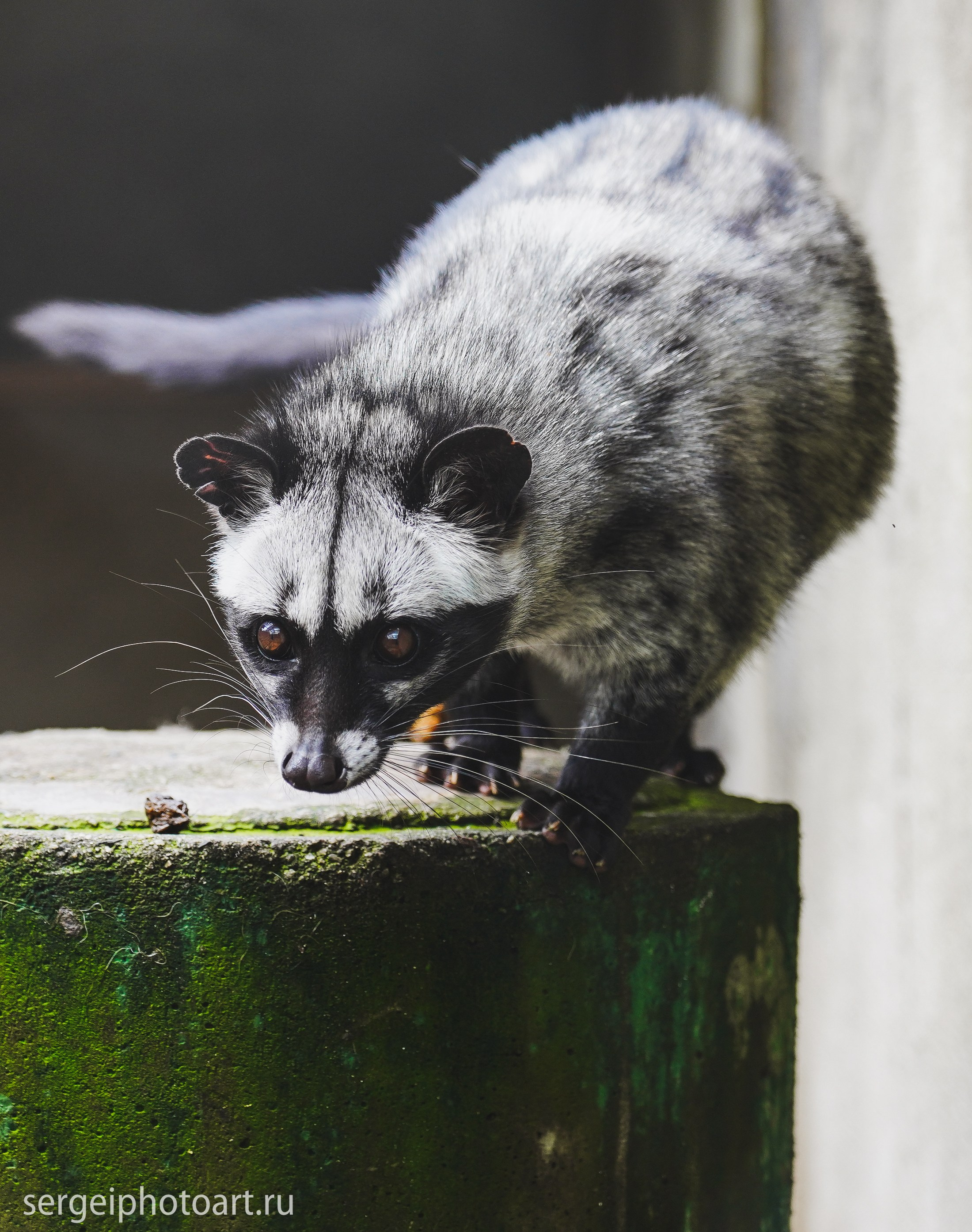 Далат. Фотограф Сергей Кишкель Дананг Нячанг Фукуок
