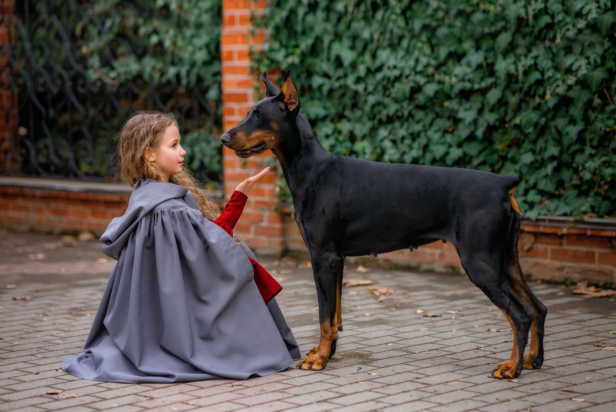 Василиса и доберман. Photographer in Egypt, Hurghada, Luxor, Safaga