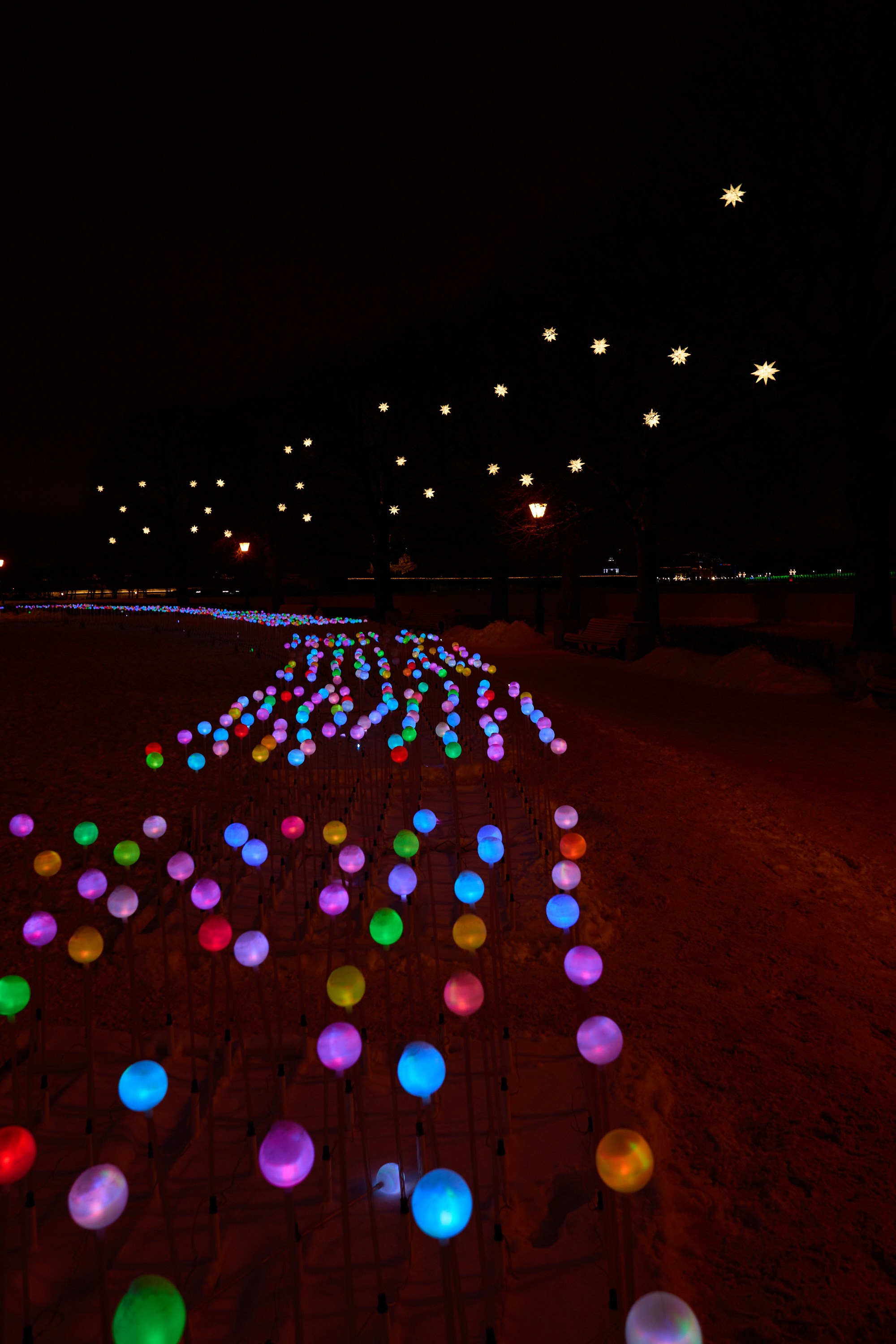 Рождество въ Санктъ-Петербургѣ. Фотографъ Сергѣевъ. Поймать мгновеніе