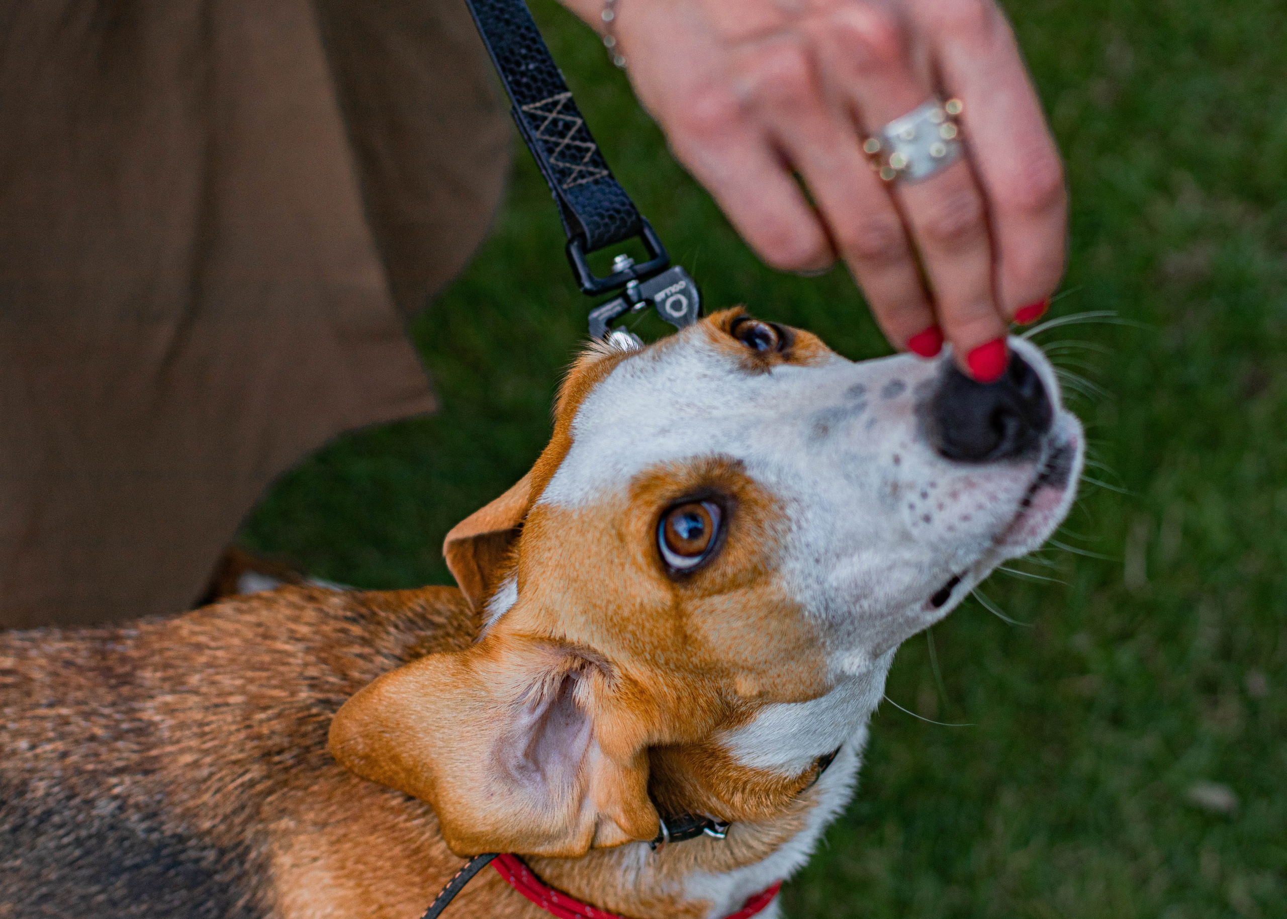 Свадебный и семейный фотограф в Москве Мария Соловова