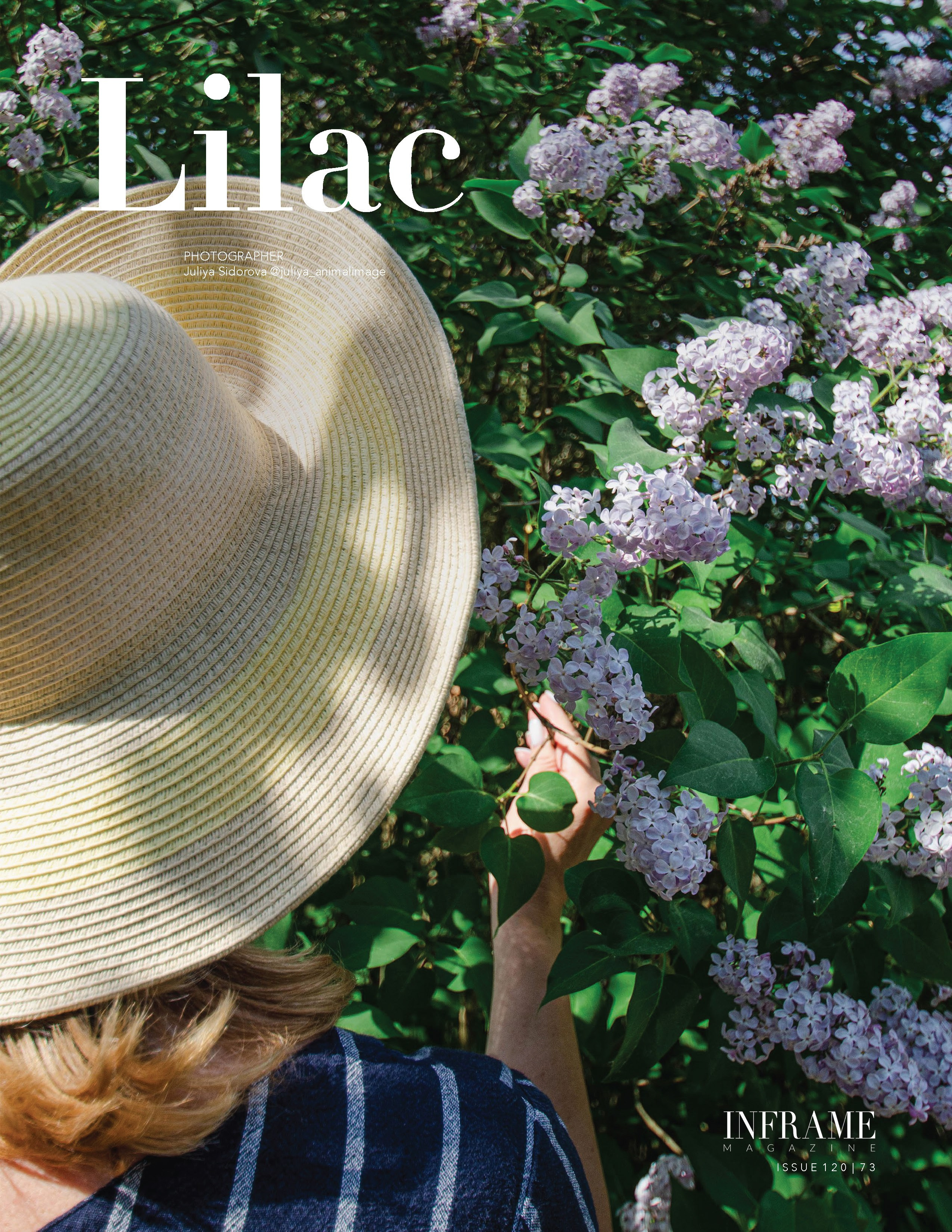 Публикации. Фотограф анималист