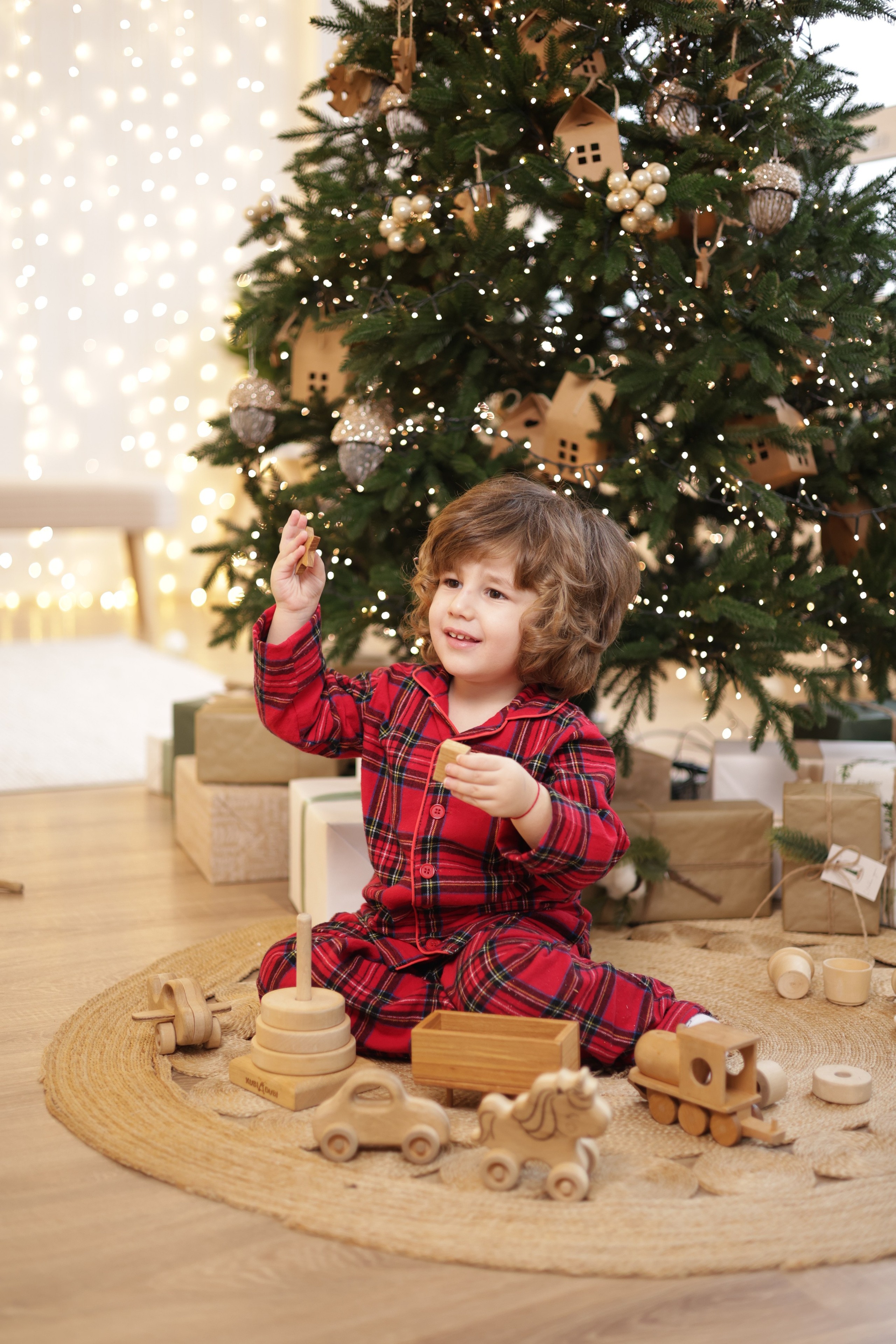 НГ Ашотик. Сайт фотографа Ирины Аникановой