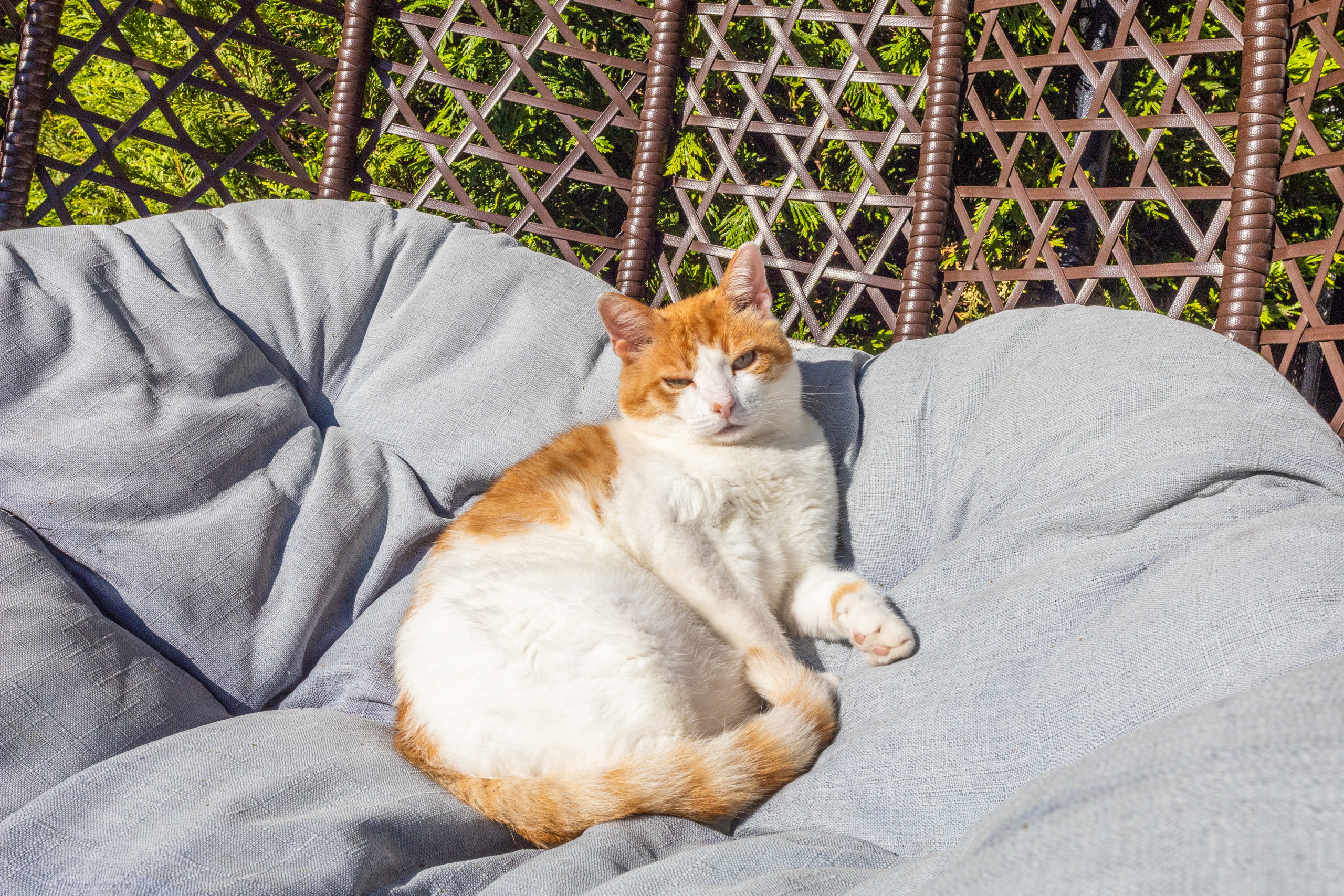 Суханово Парк. BogdanovPh