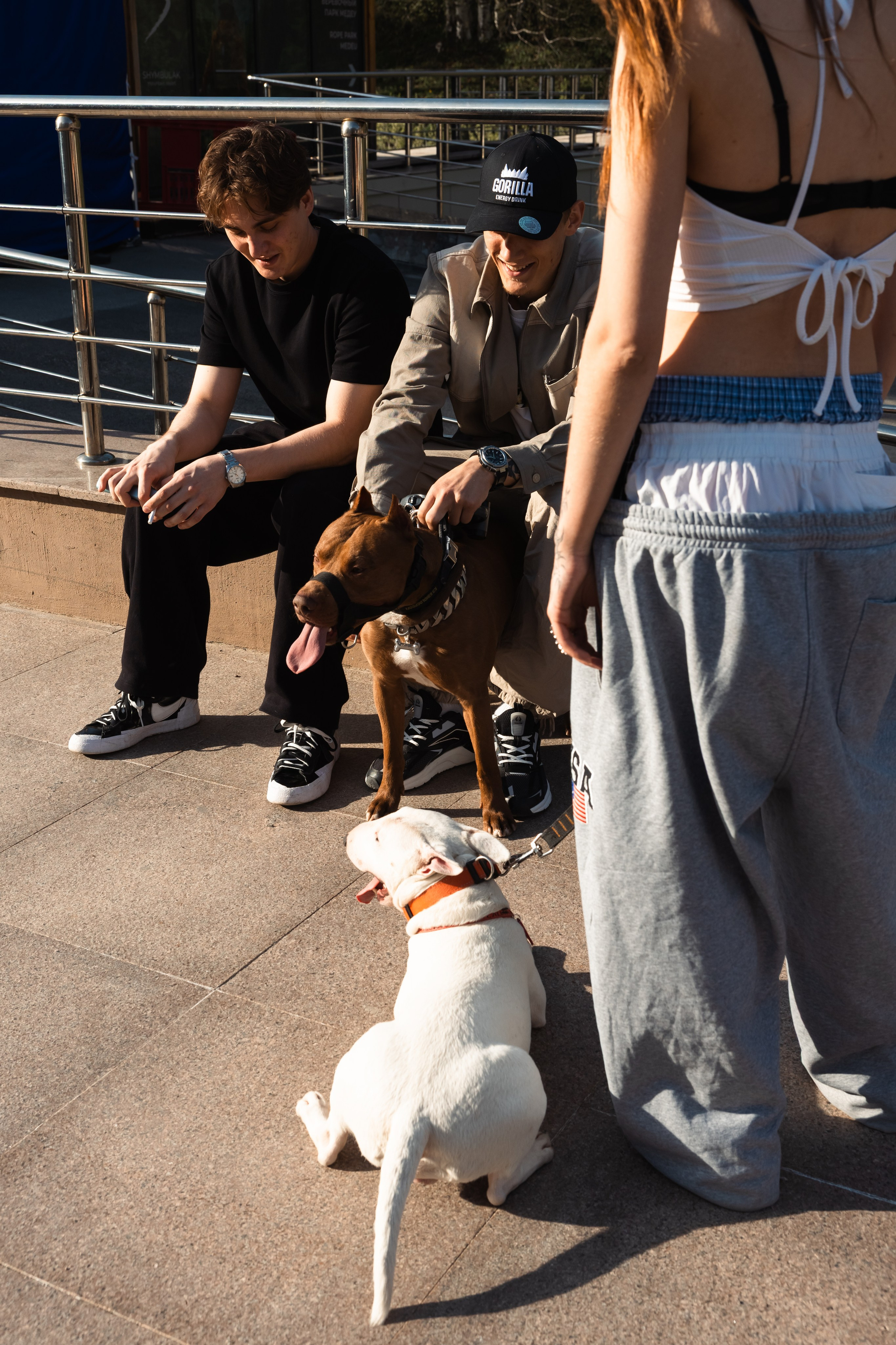 GORILLA GROOVE STAGE IMBA CAMP 5. Gorillaenergymedia