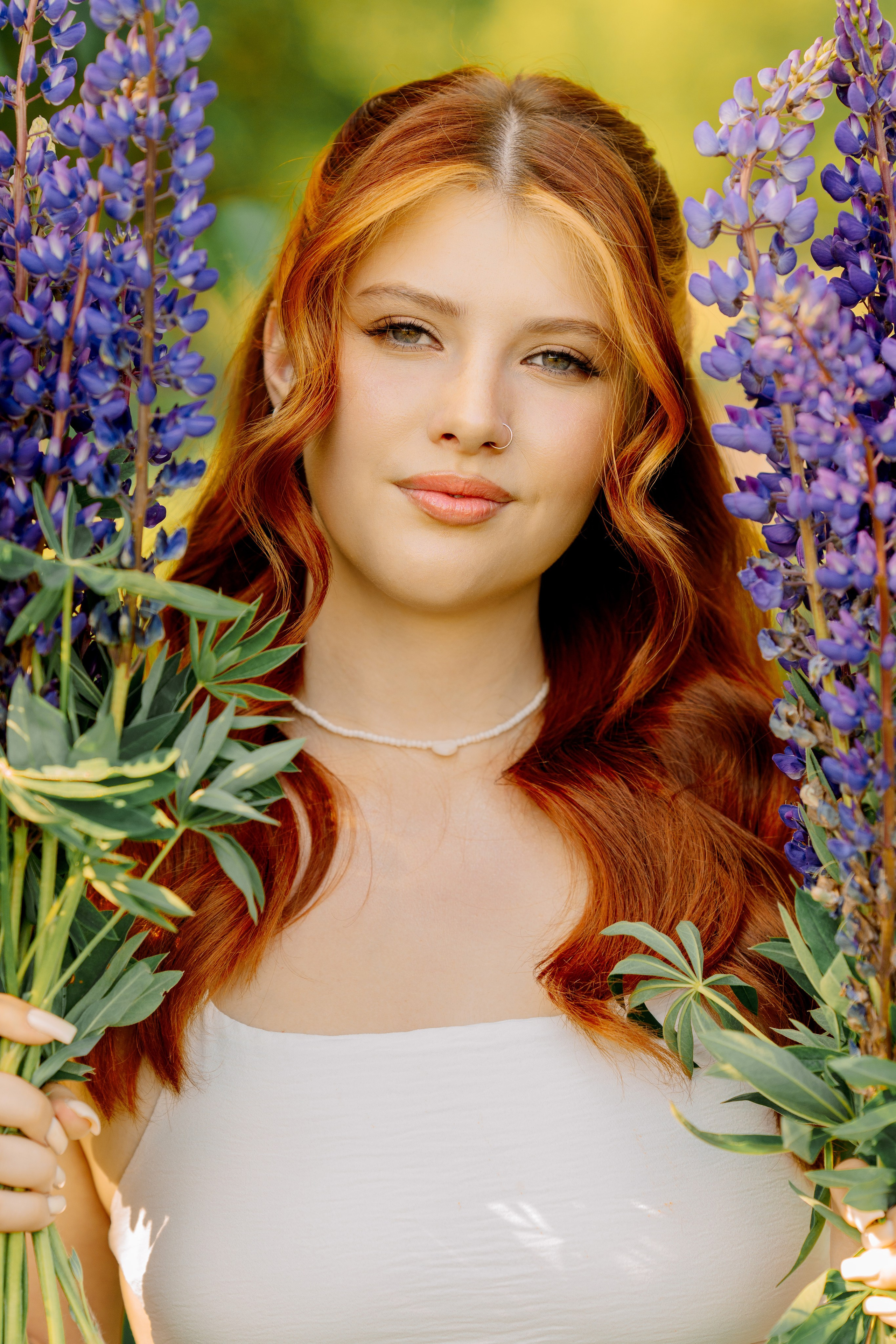 Люпины. Фотограф Юлия Попова