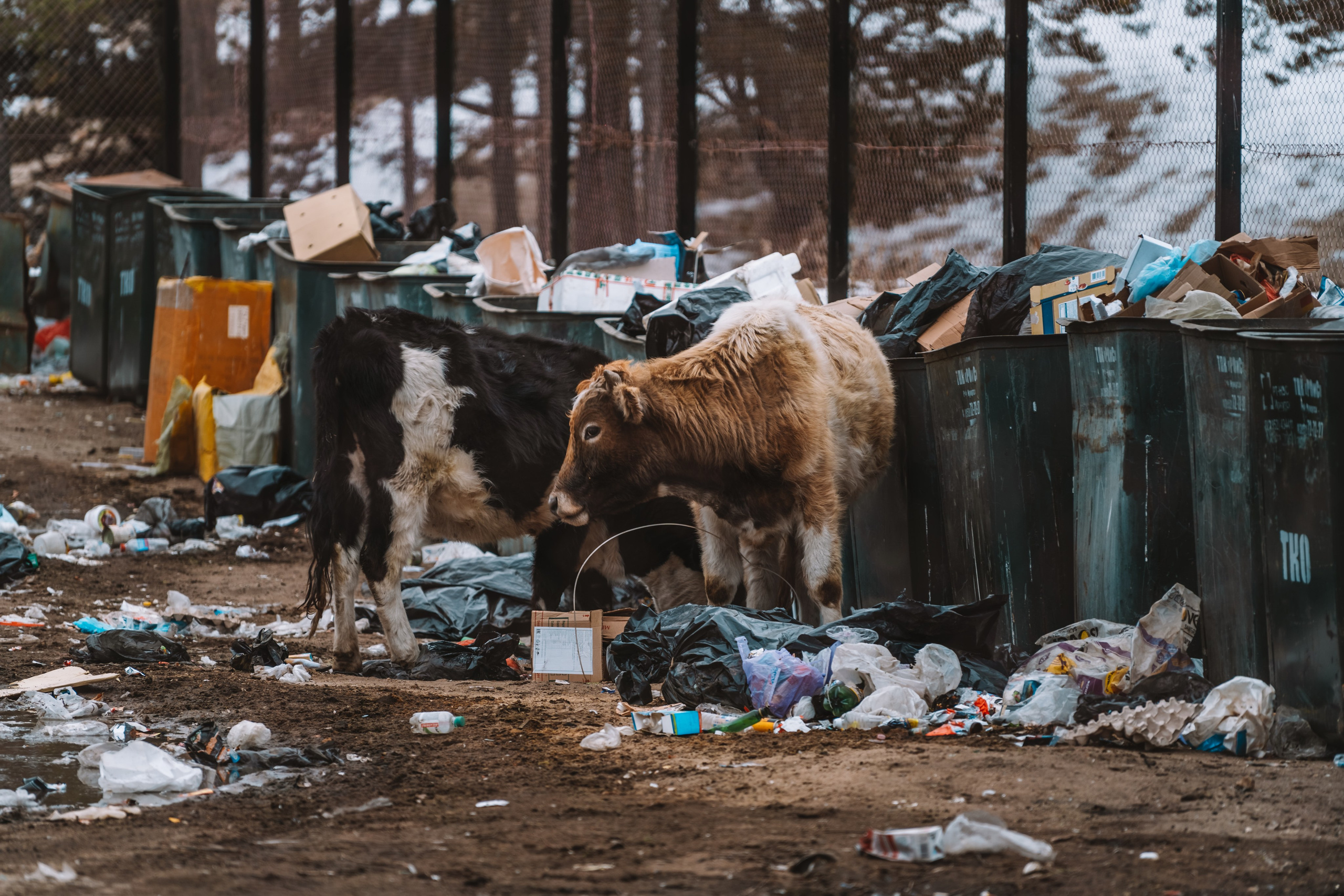 Байкал. Иркутск. Ольхон. Хужир. Листвянка. Оператор и Фотограф в Санкт-Петербурге и Москве