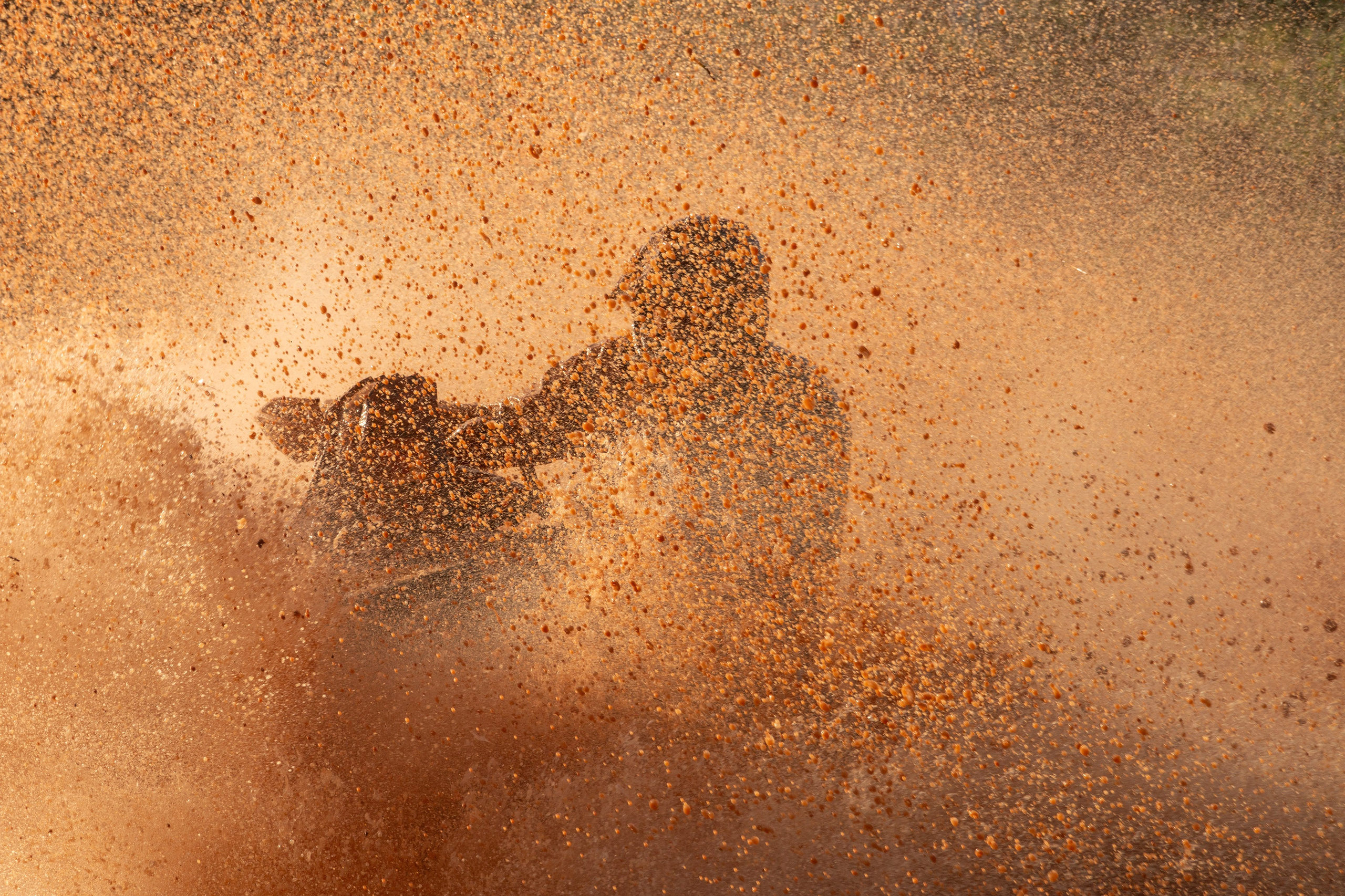 Открытие квадро-мото сезона 2025. Олег Романов. Мастер фото по спорту