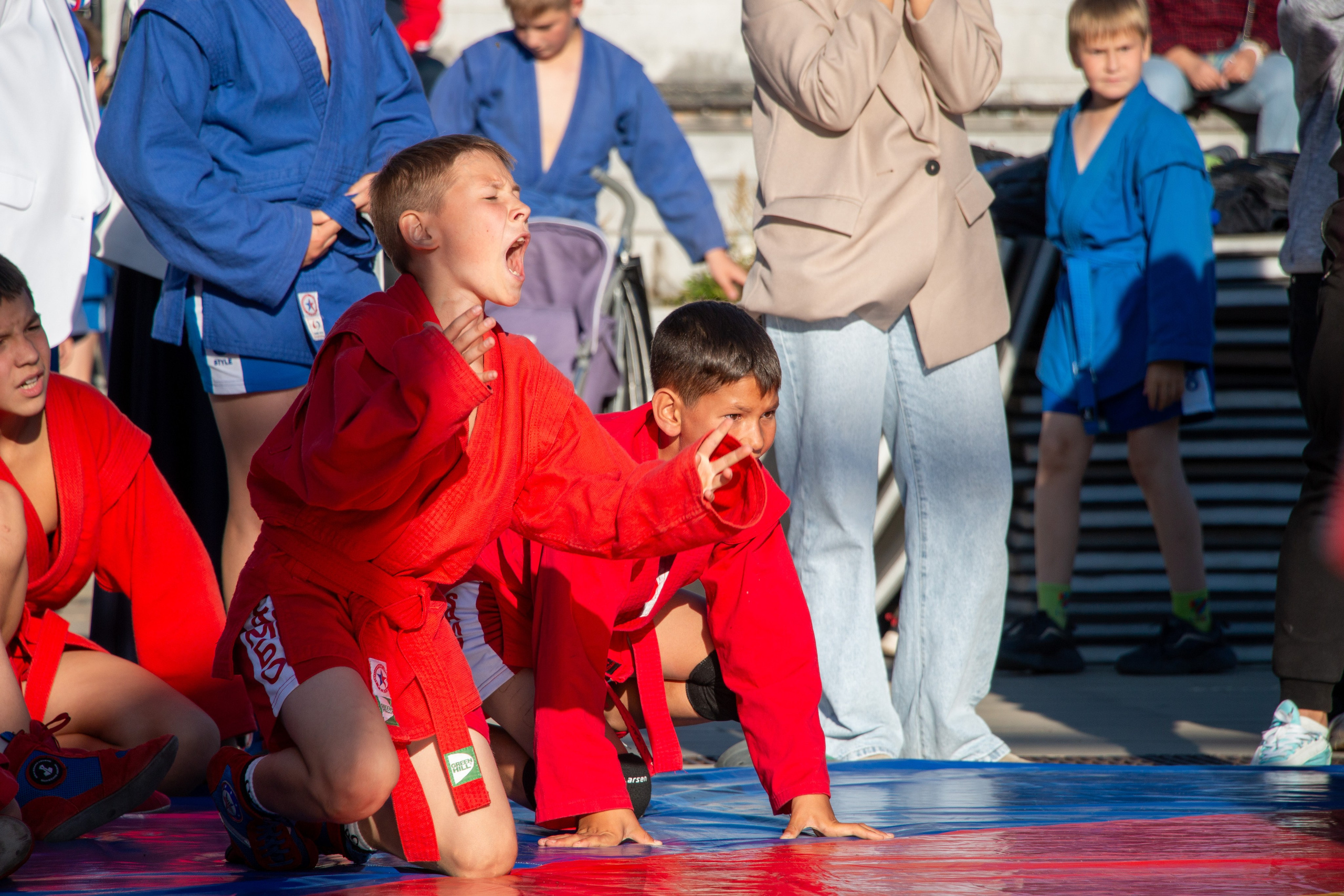 День флага России. Ижевск 2025. Олег Романов. Мастер фото по спорту