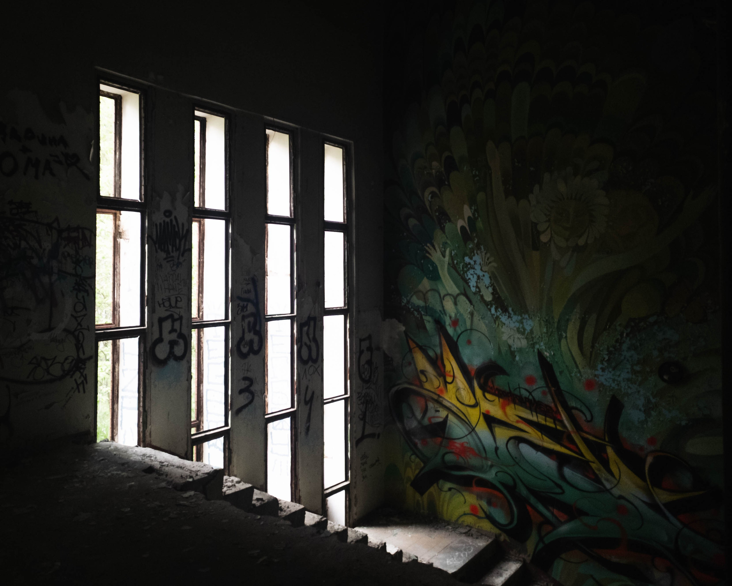 Эстетика ебеней. Олег Романов. Мастер фото по спорту