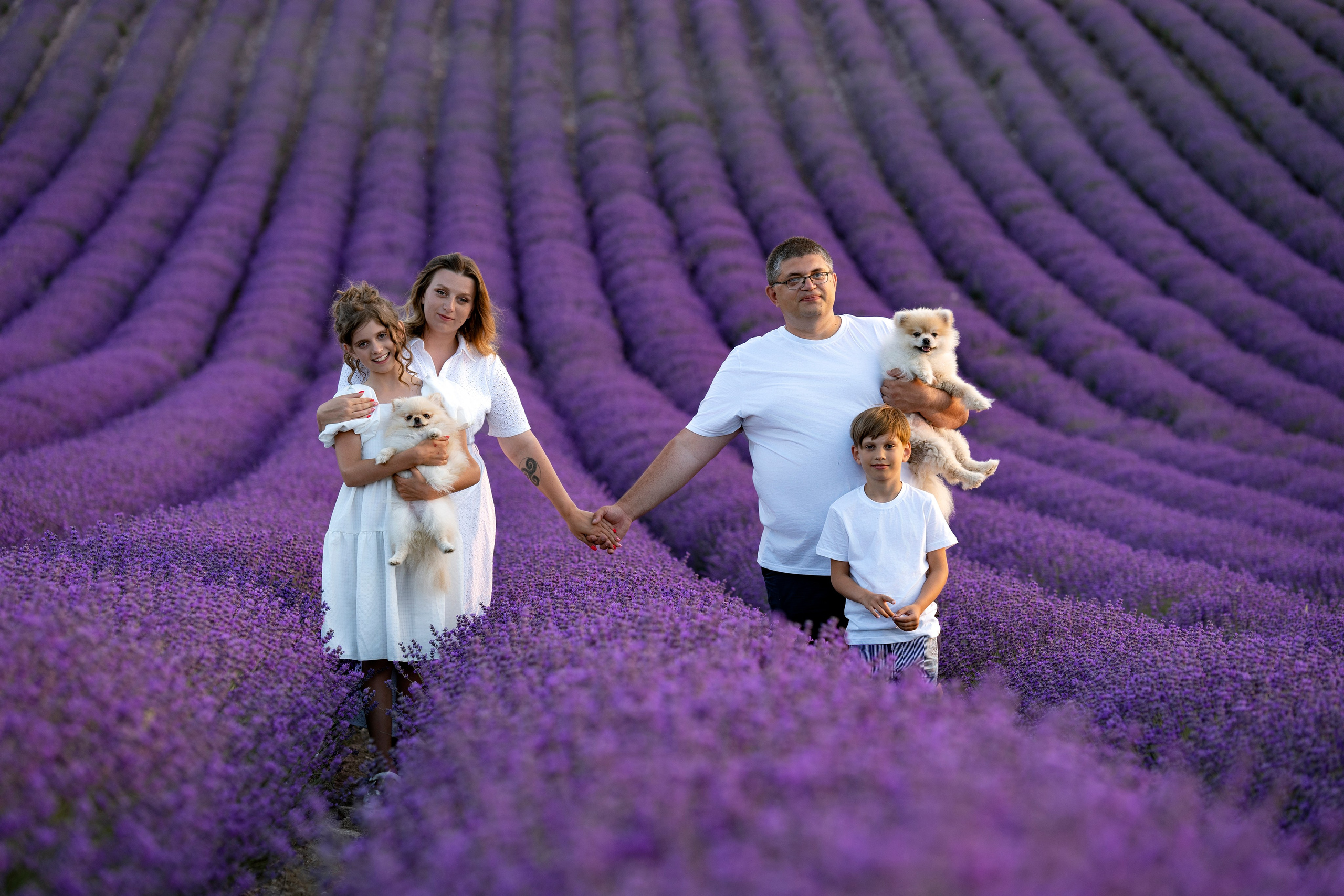 Лавандовое поле (Тургеневка). Фотограф в Крыму Лебедева Александра