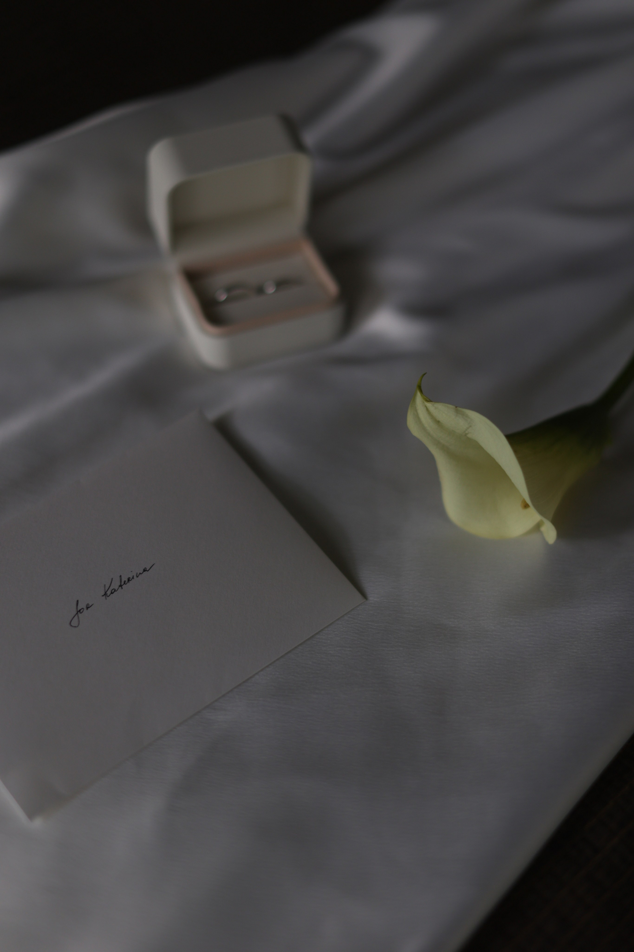 Сергей и Екатерина. Свадебные фотограф и видеограф в Минске Голдосовы Марина и Вадим