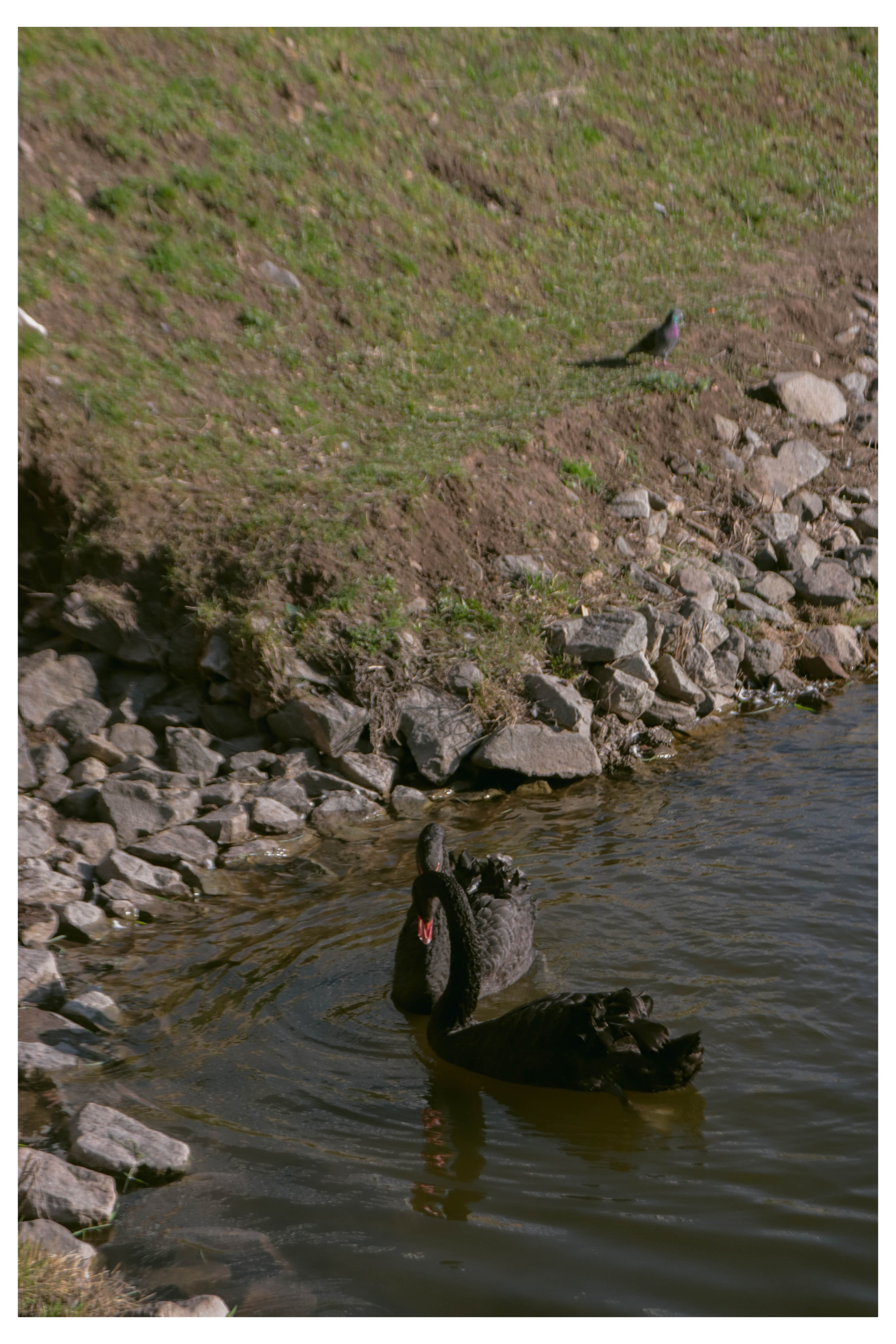 Альметьевск. Фотограф и видеограф в Бугульме Аня Трутнева