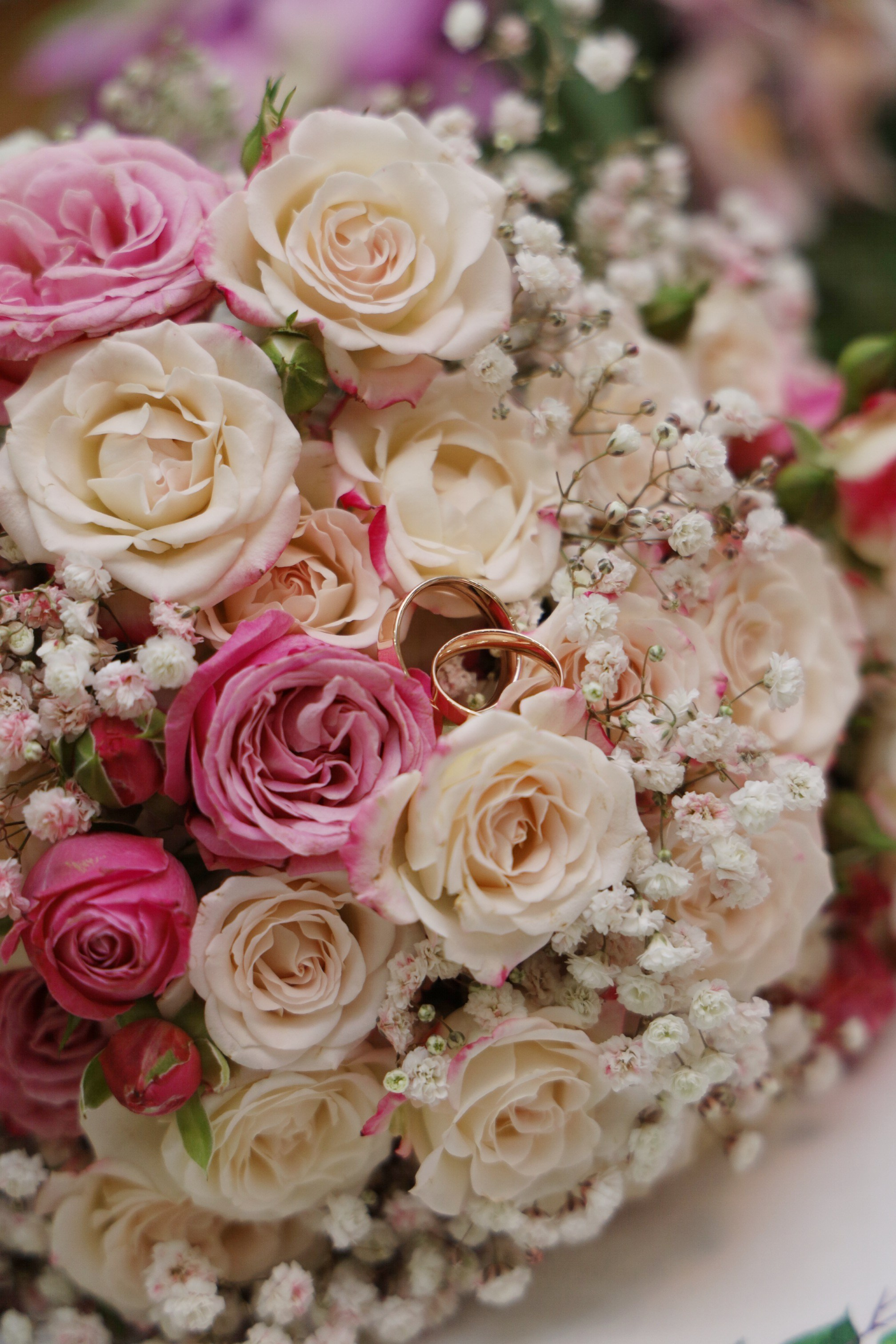 Ирина и Сергей 10.11.23. Фотограф Полярные Зори, Кандалакша, Мурманская область Мария Потапова