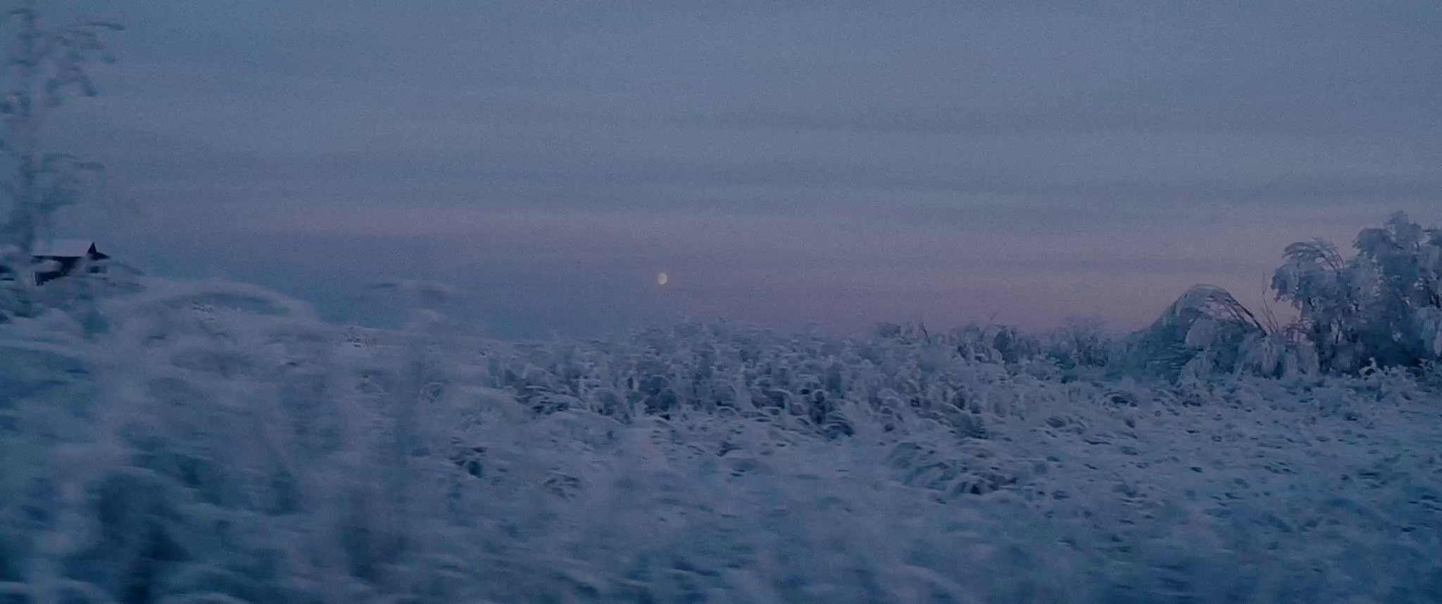 Услуги. Фотограф|Видеограф Архангельск | Северодвинск | Новодвинск