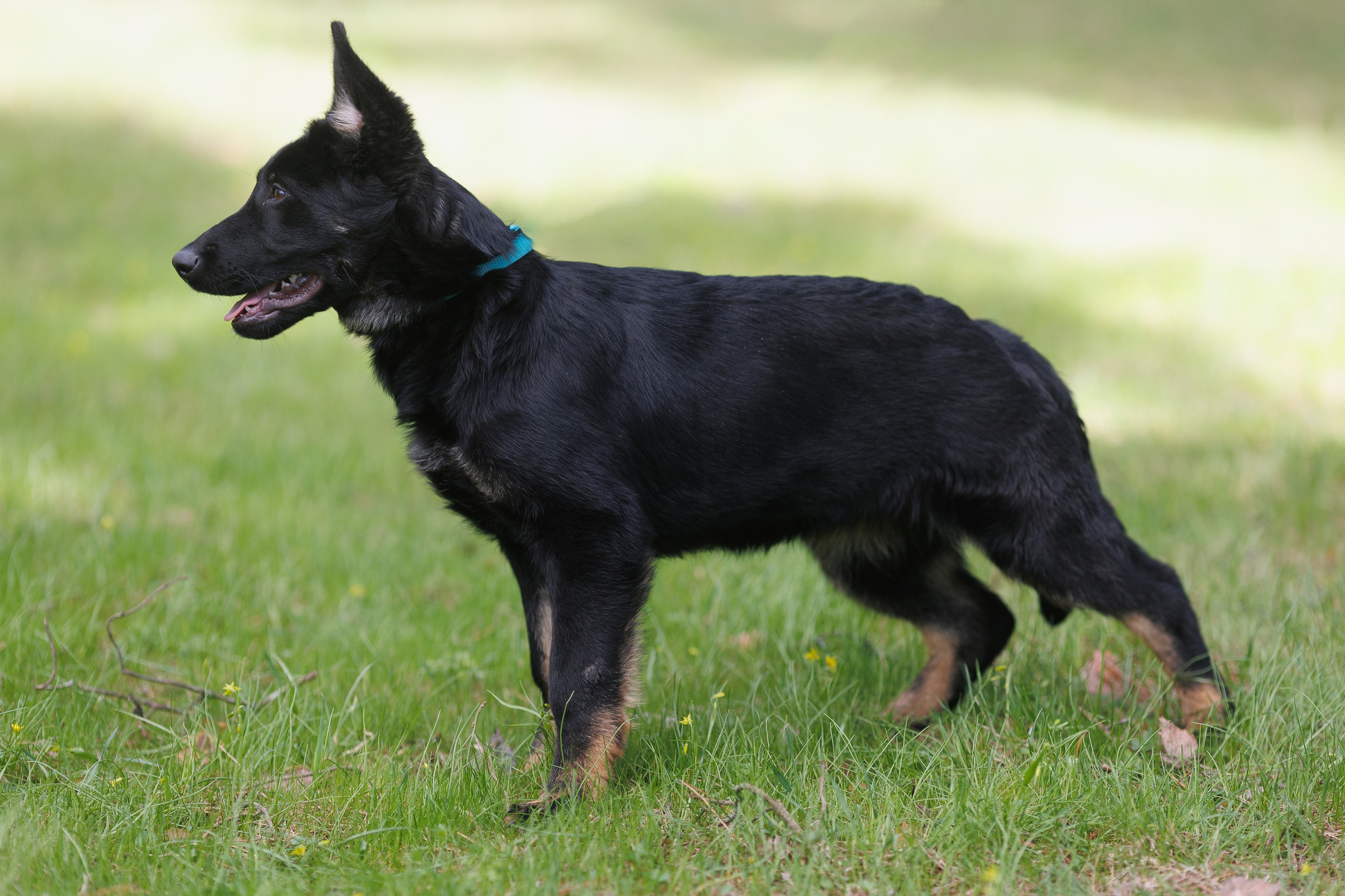 Репортажный фотограф Борис Геер