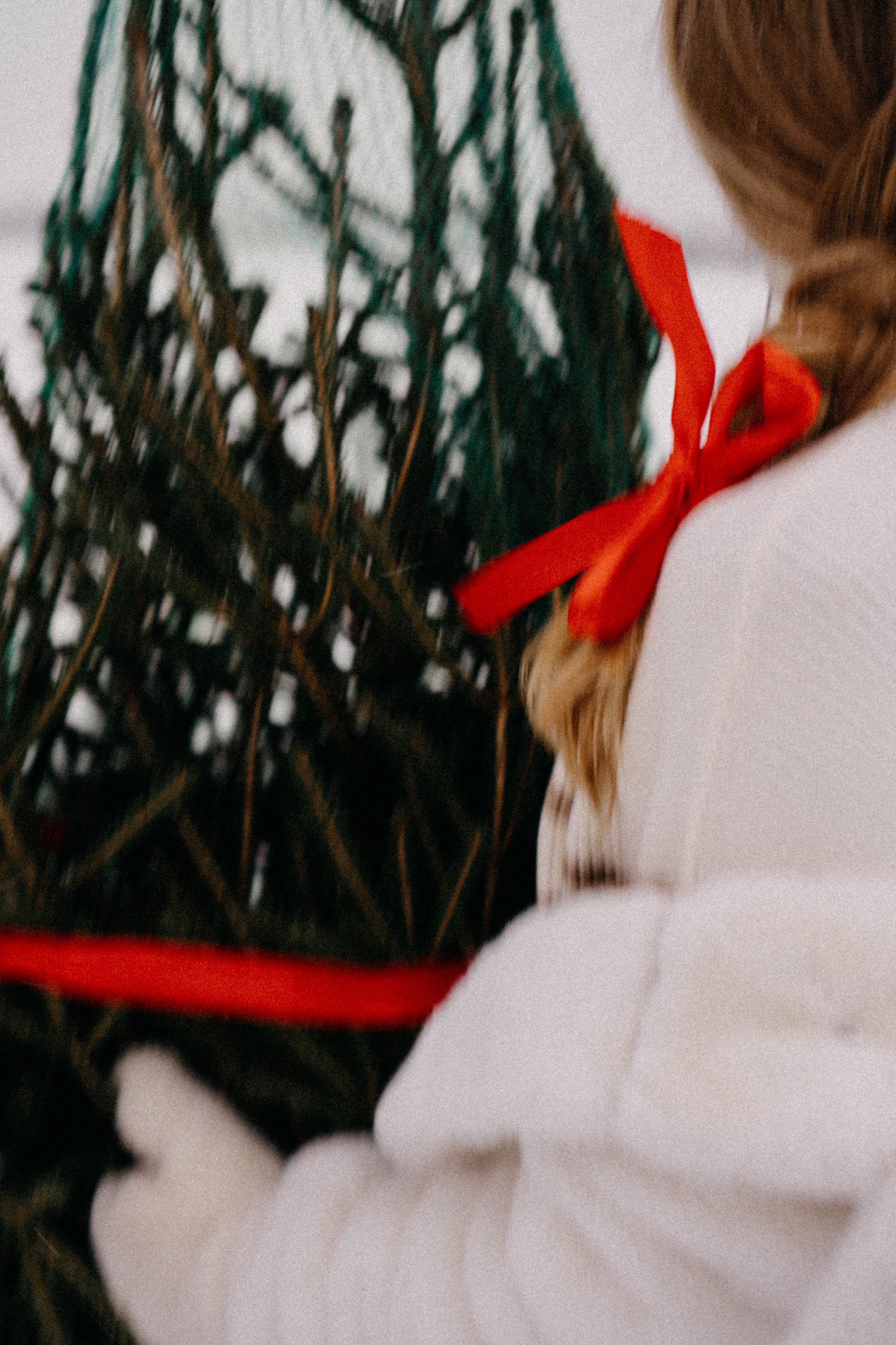 Новогодняя. Профессиональный фотограф, Санкт-Петербург — Виктория Богомолова