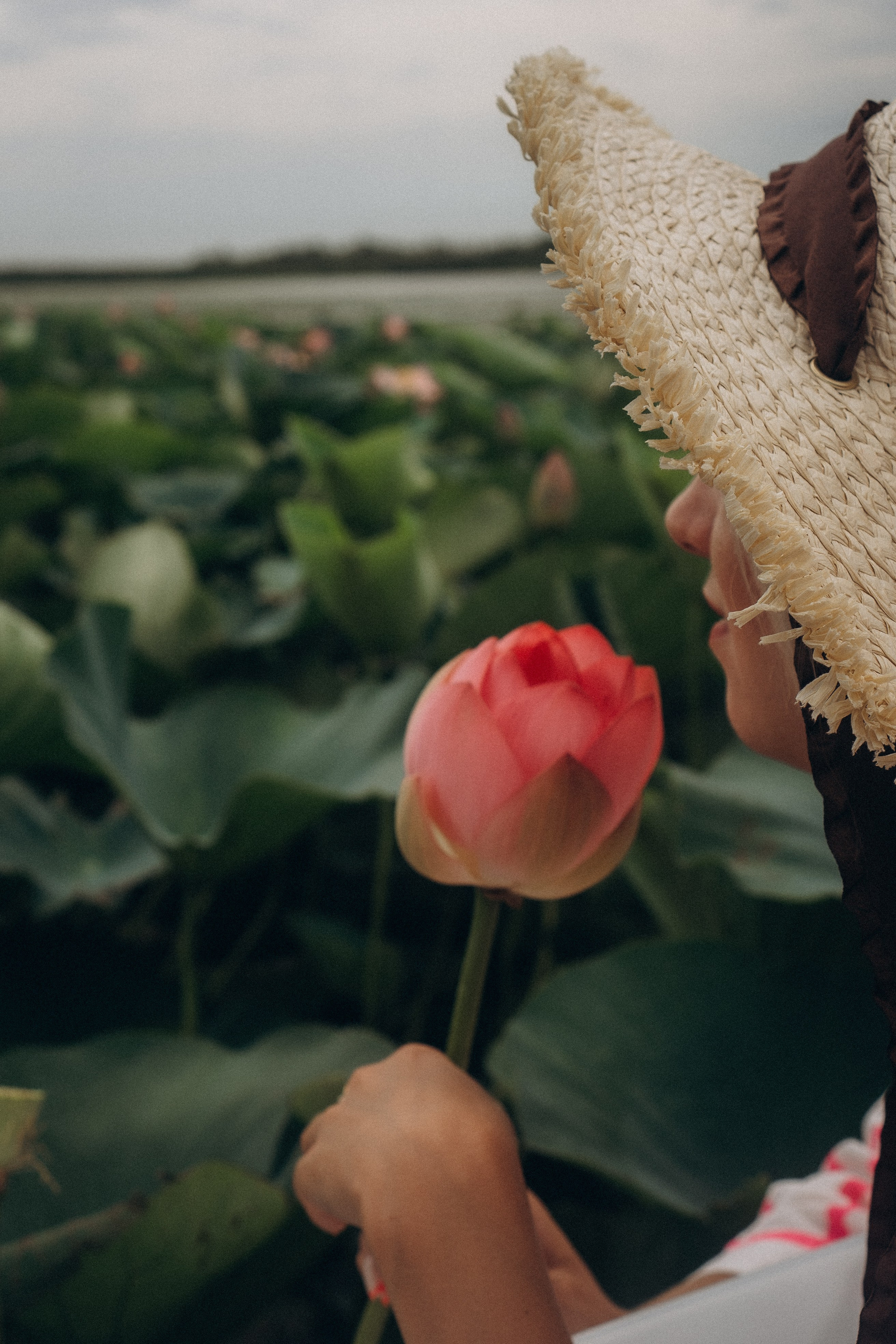 ЛОТОСОВАЯ ПОЛЯНА. Профессиональный фотограф, Санкт-Петербург — Виктория Богомолова