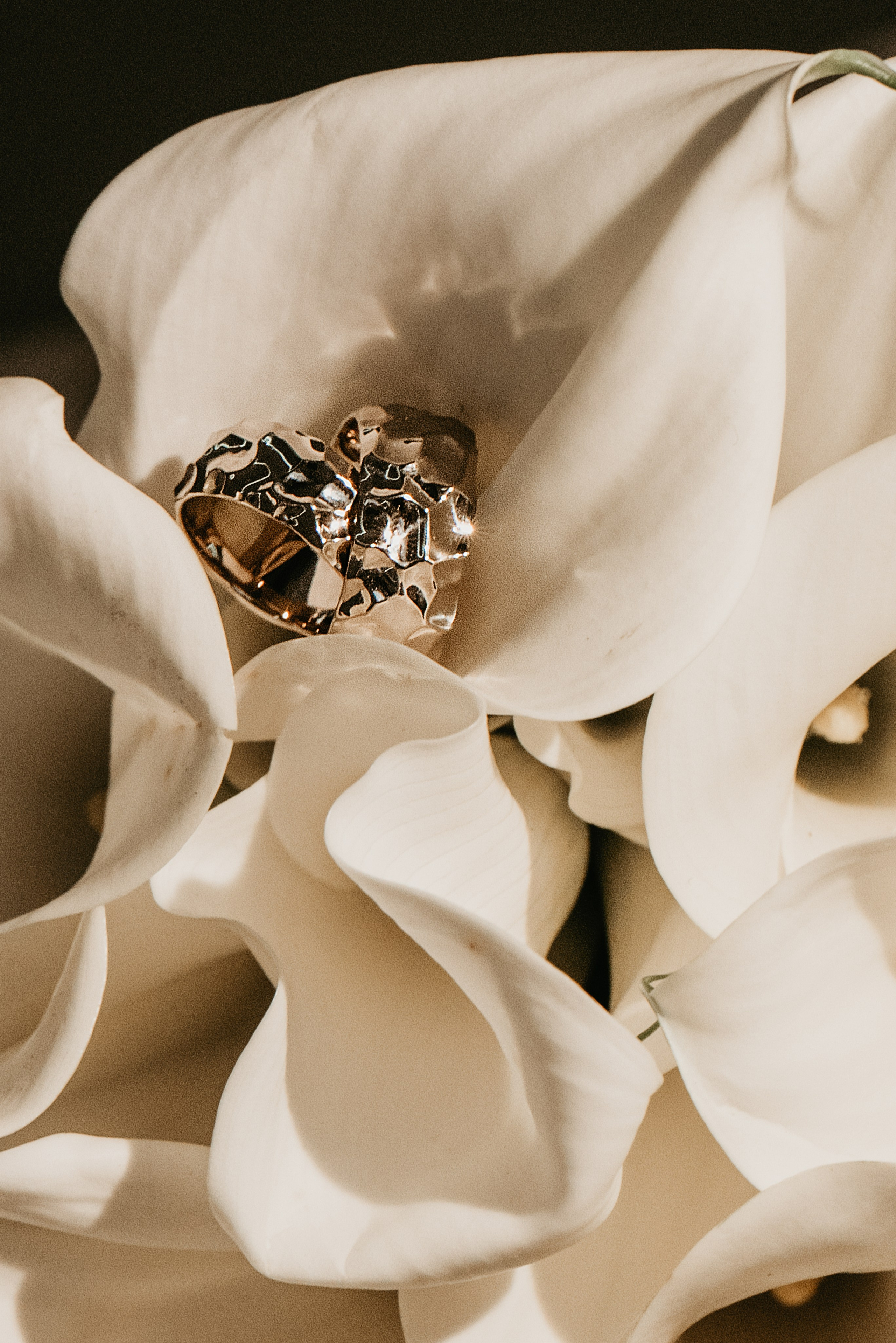 Ангелина и Сергей. Семейный и детский фотограф в Туле