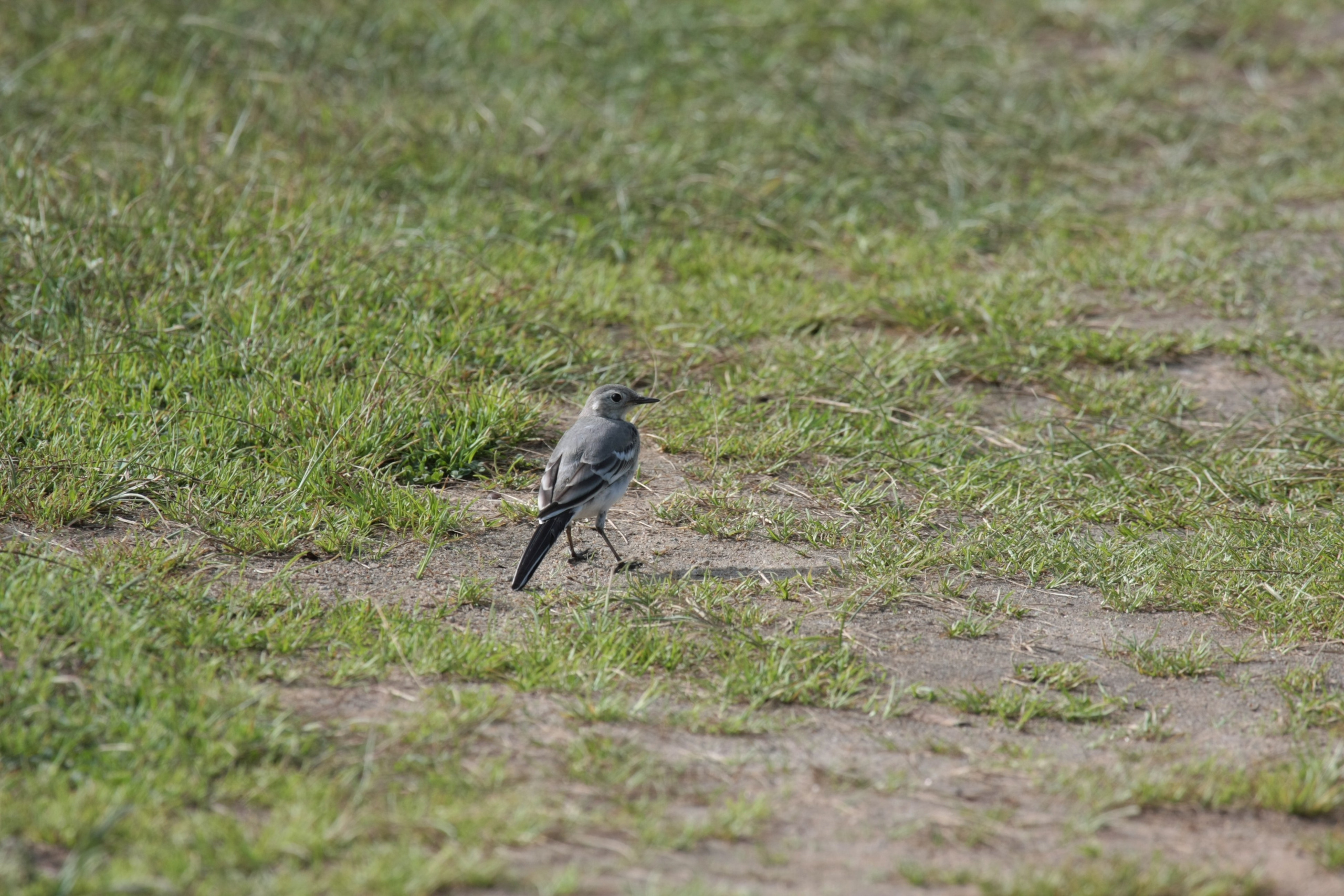 Фото Природы Забайкалья. Студия Максима Белослюдцева