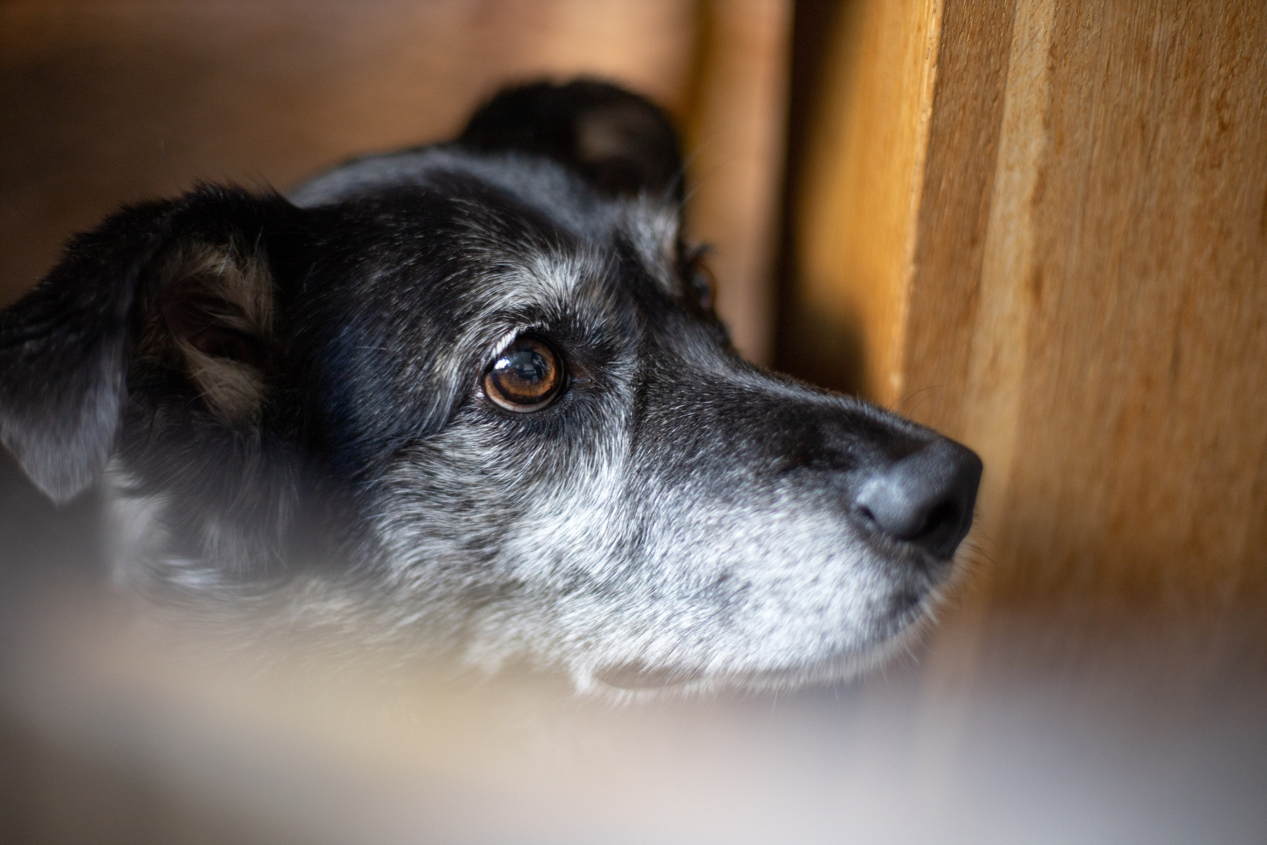 День рождения Оксаны. SaGaFOTO.ru