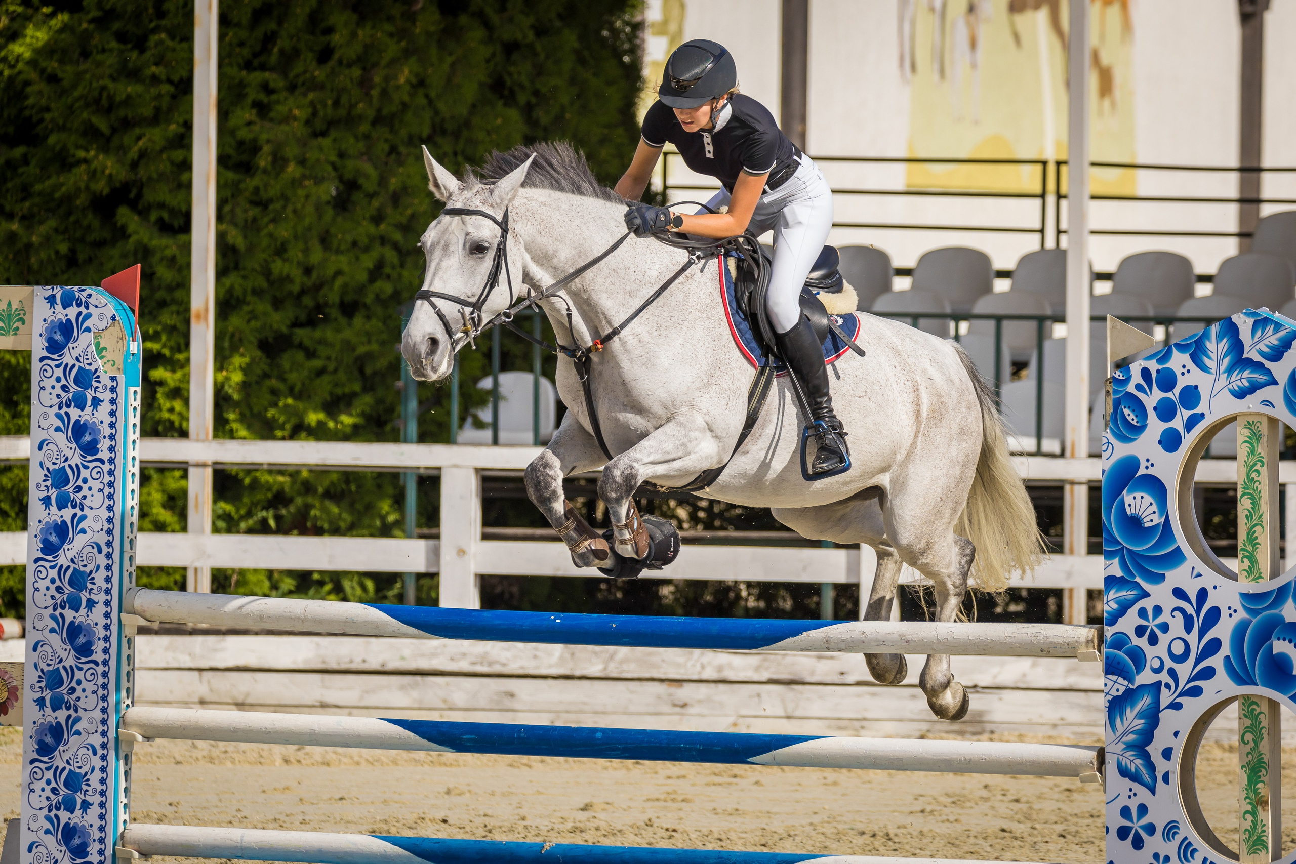 Конный спорт. Photomantis