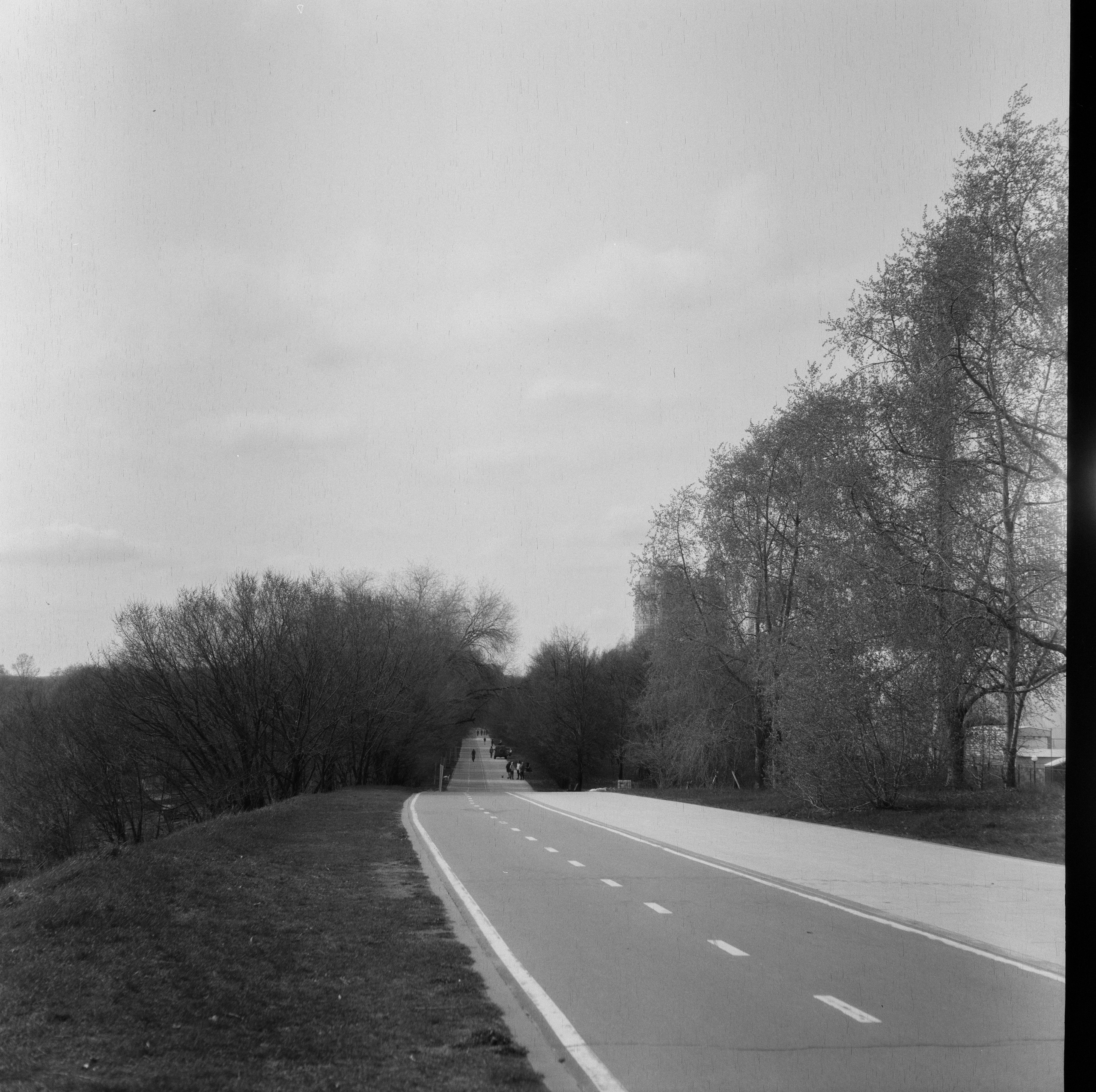 Minolta Autocord / Kodak Double-X 2405 aerographic