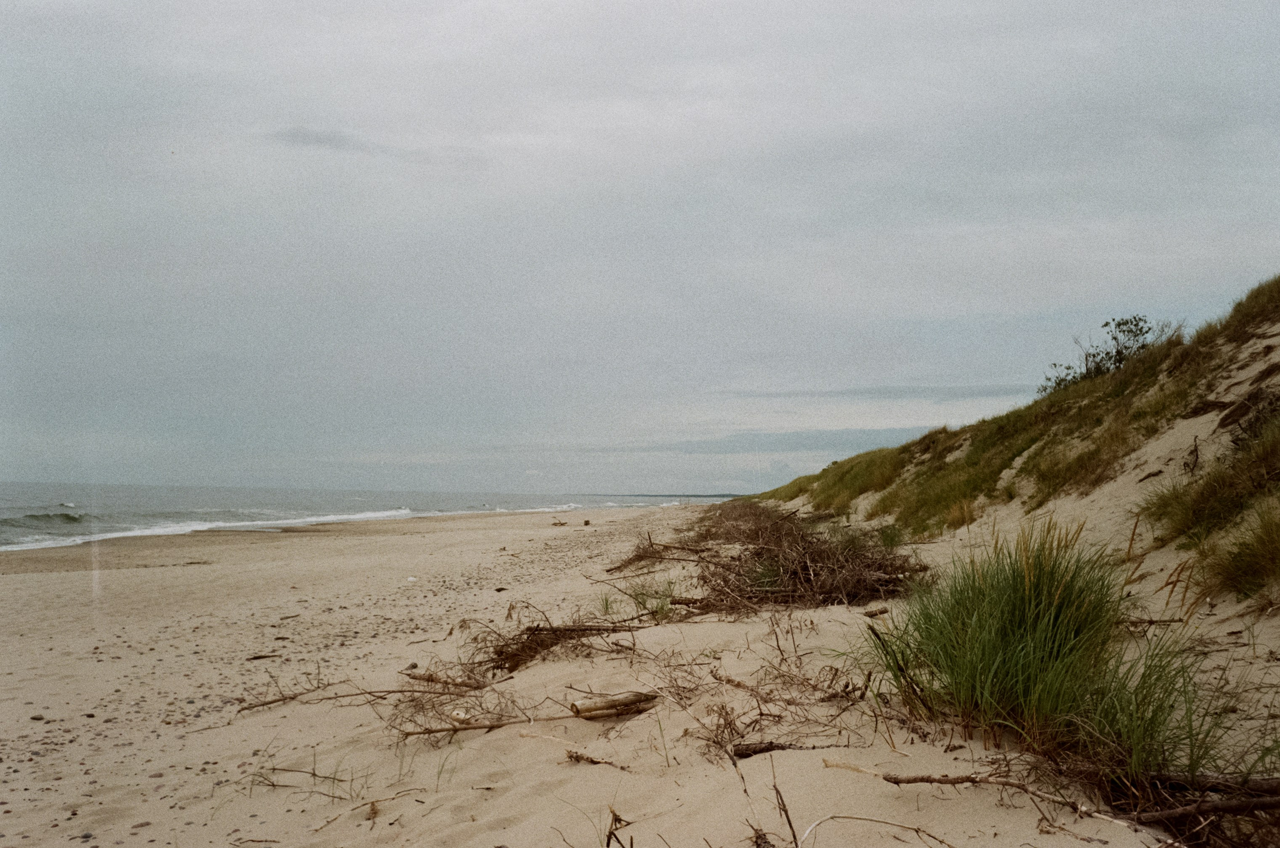 Зеленоградск Курортный проспект, Куршская коса / Minox 35 GT (2)