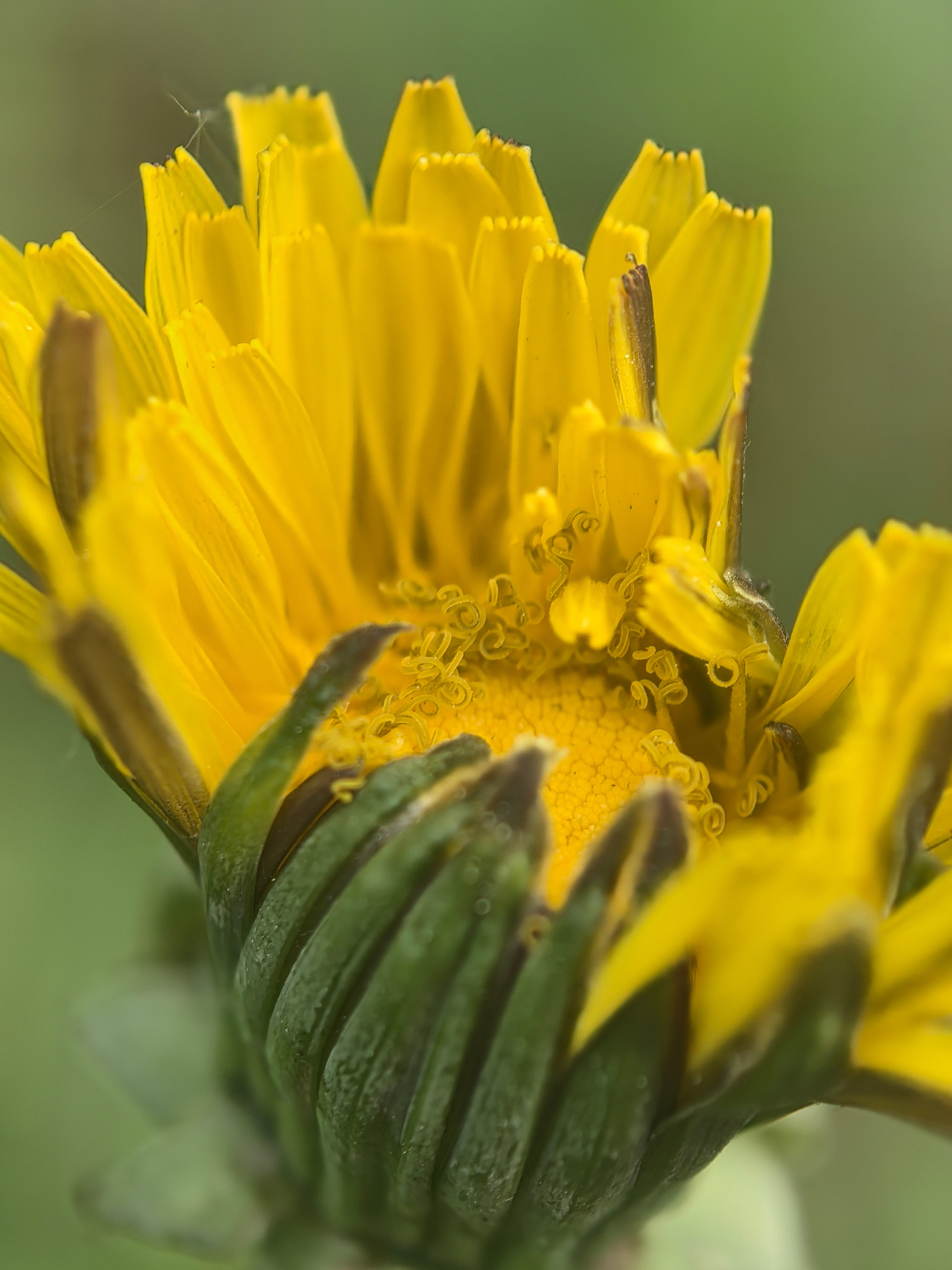 ПочтиМАКРО. Школьные выпускные альбомы в Москве Марина Николаева