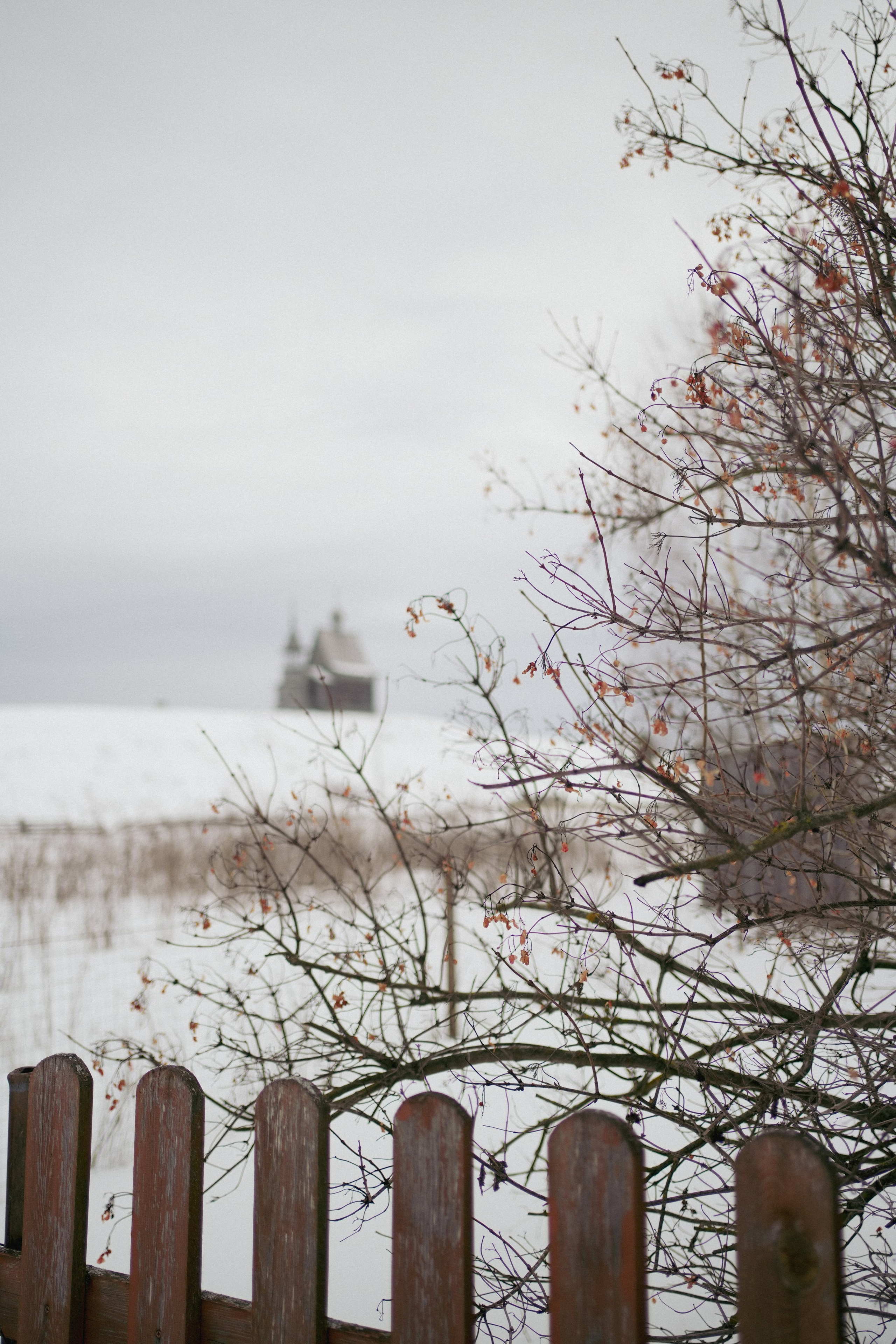 Масленица в Кенозерье — репортаж экспедиции. Видеограф в Санкт-Петербурге Анастасия Коок
