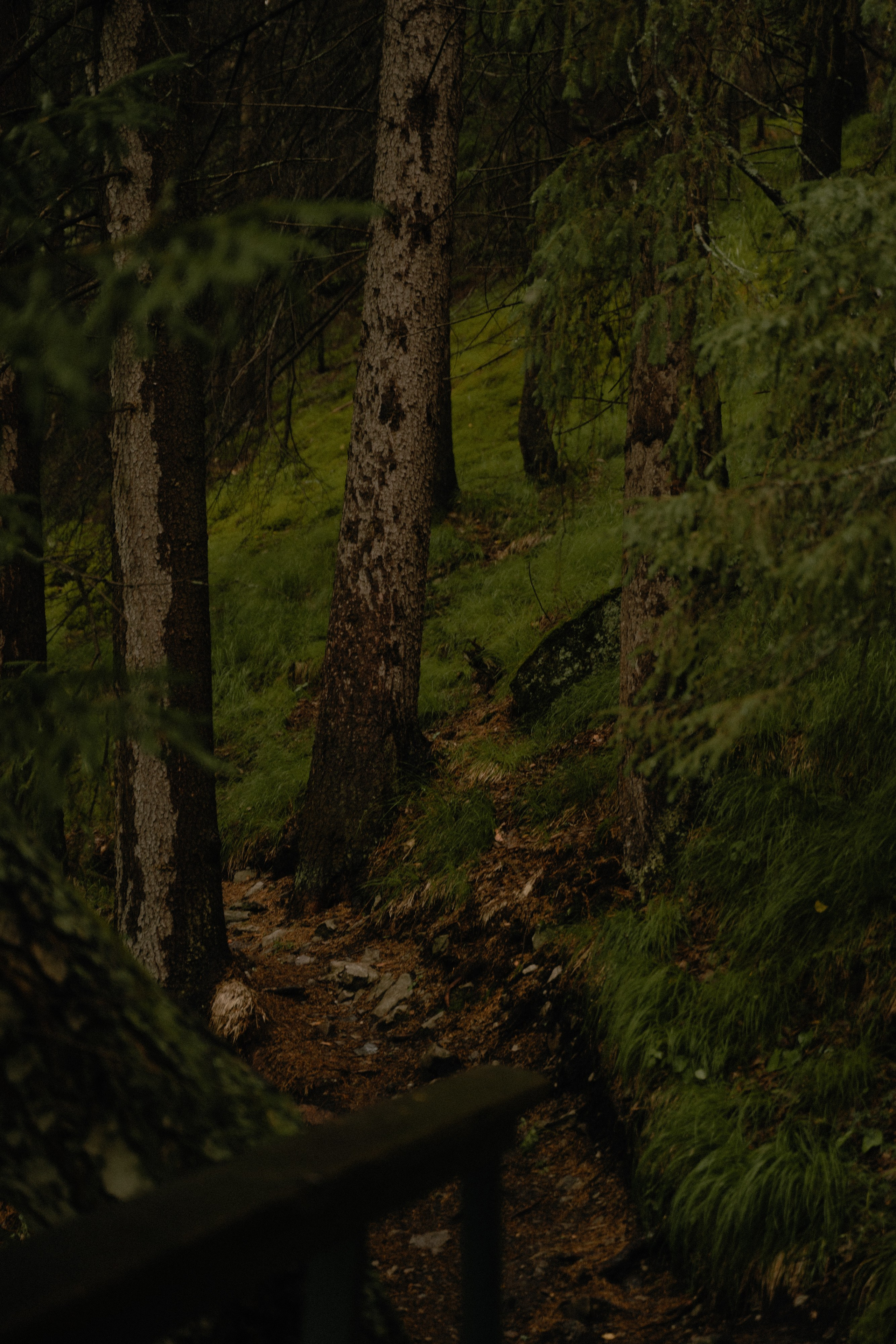 Женя и Лариса. Фотограф Алматы