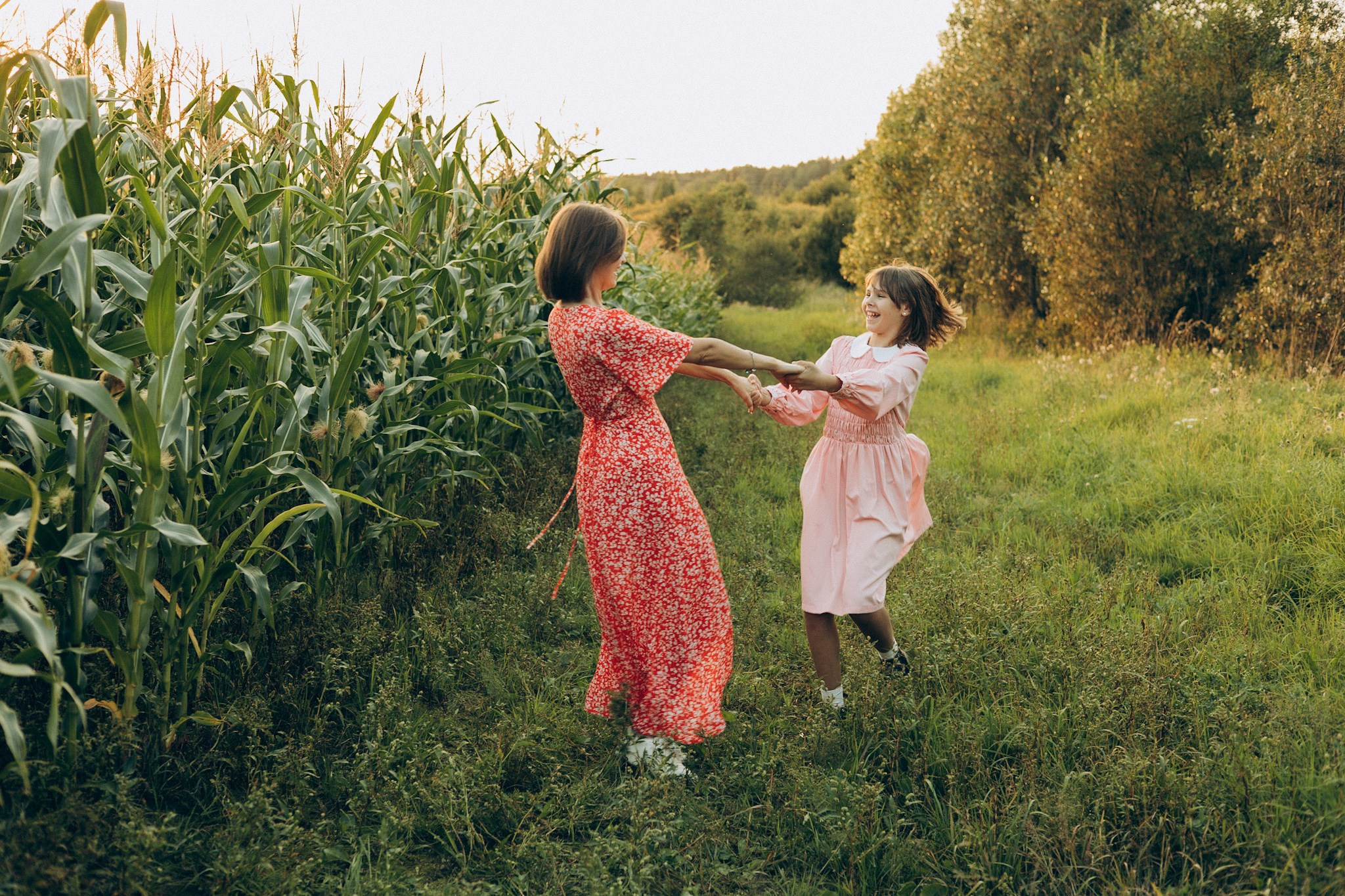 В кукурузе. Главная