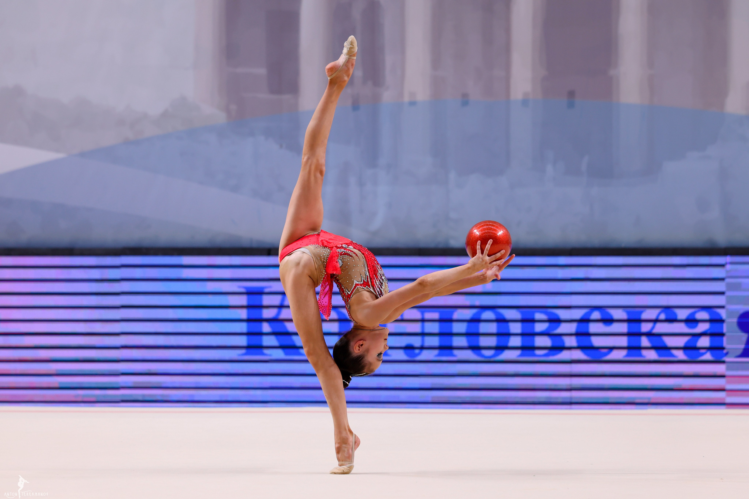 Первенство Санкт-Петербурга 2025. Спортивный и репортажный фотограф Антон Тереханов