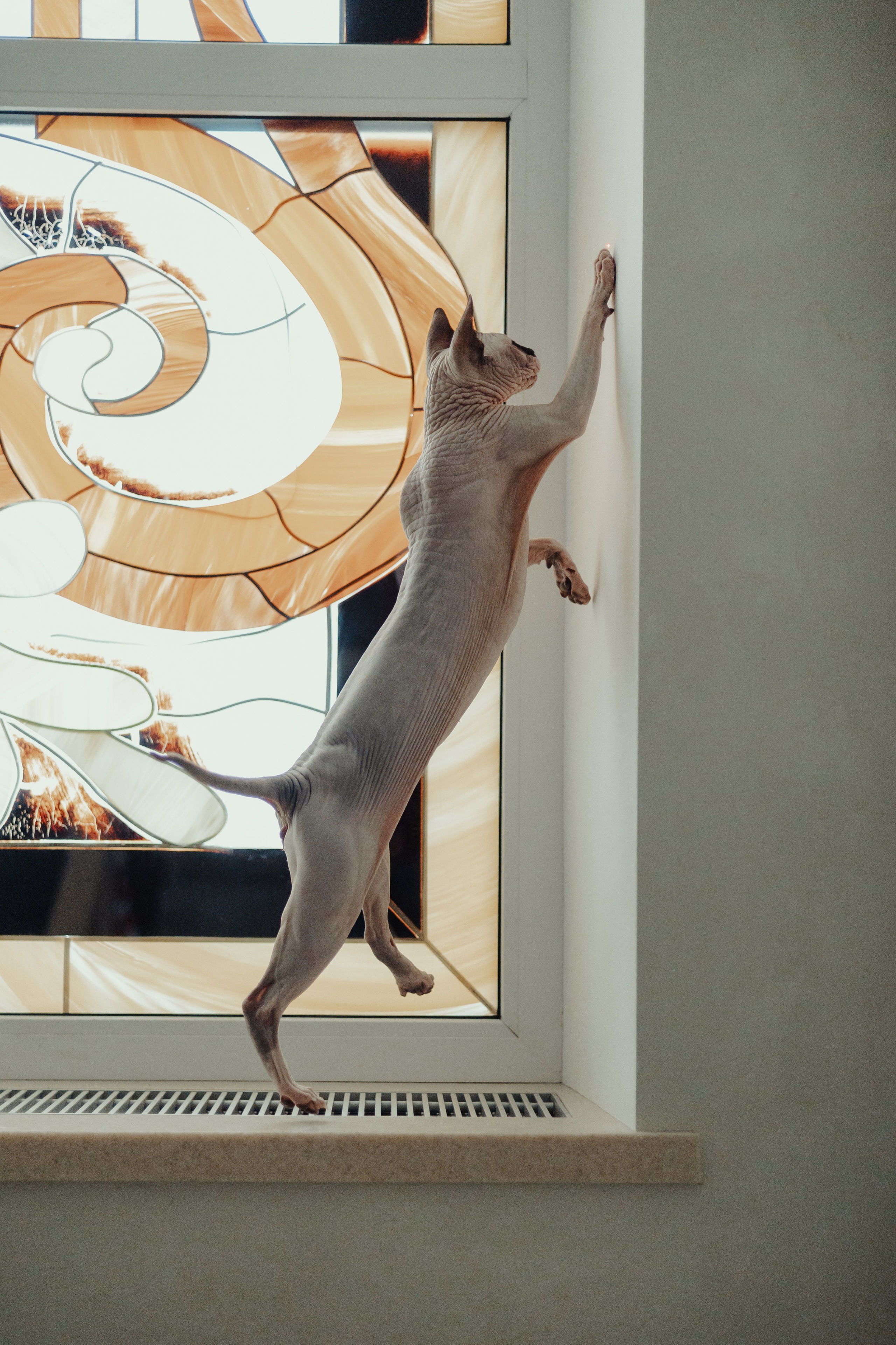 Алина, Илья и их хвосты. Фотограф Анималист Екатерина Справцева в Нижнем Новгороде