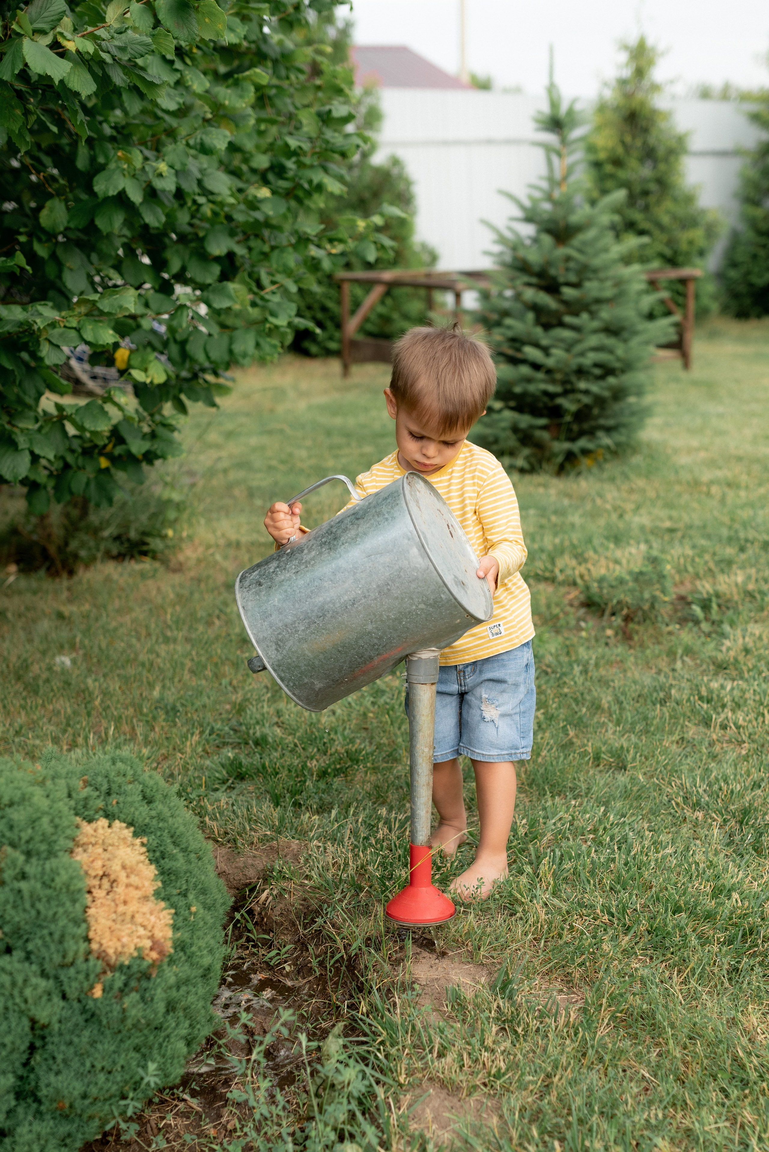 Дача. Семейный фотограф Ирина Сгибнева